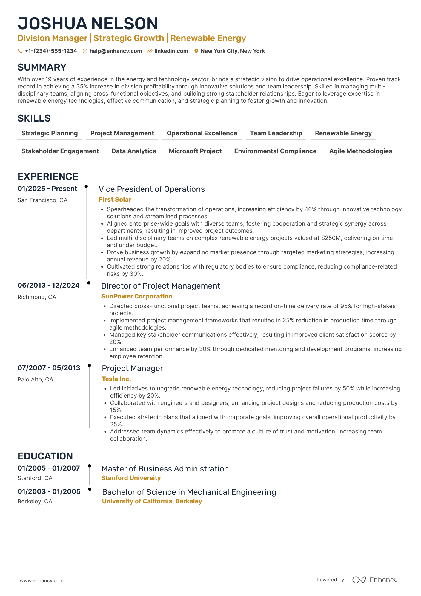A resume example of a Division Manager