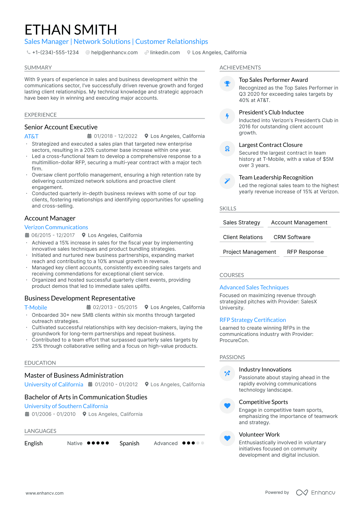 resume profile examples account manager