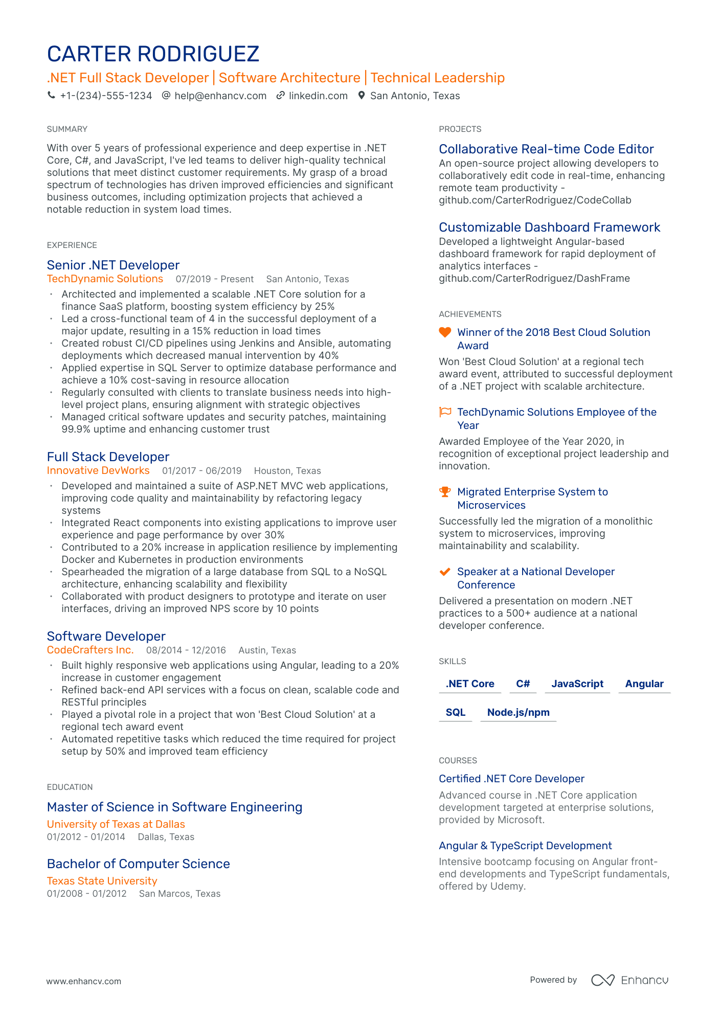 resume sample for .net developer