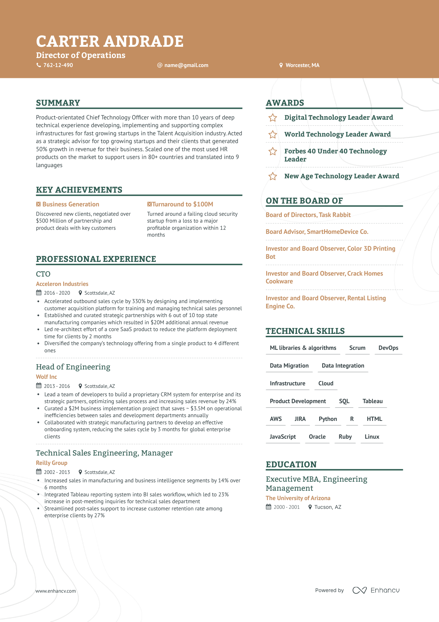 Creative Director Of Operations Resume Template