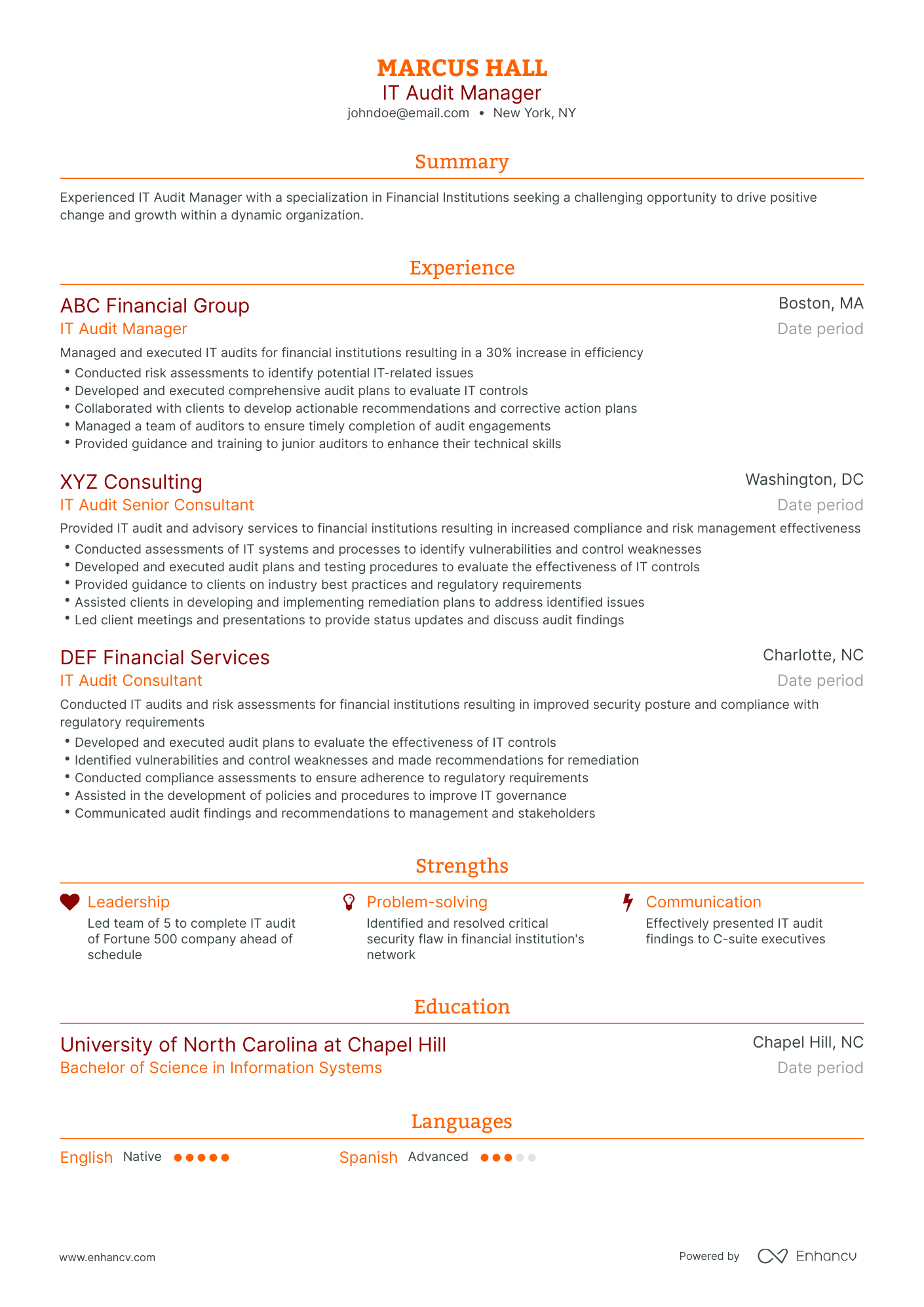 Traditional IT Audit Manager Resume Template