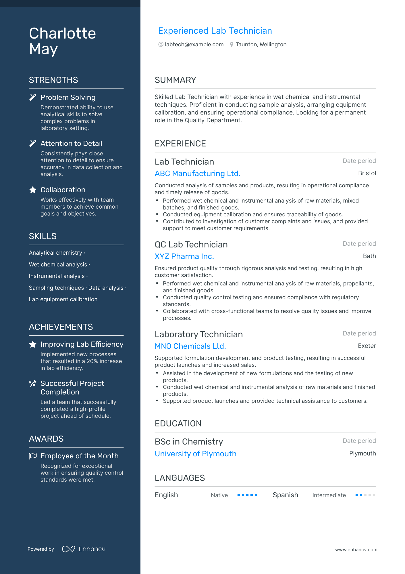 Polished Lab Technician Resume Template