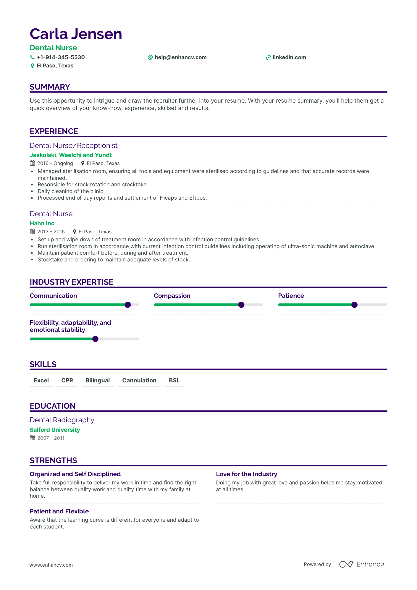 Dental Nurse Resume Examples & Guide For 2023 (layout, Skills, Keywords 