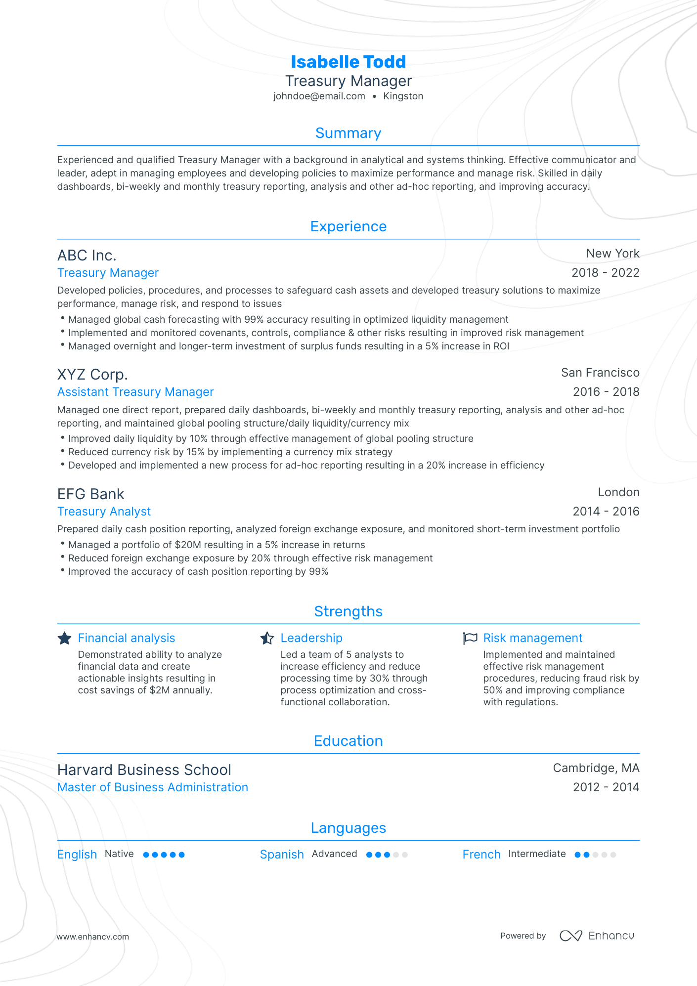 Traditional Treasury Manager Resume Template