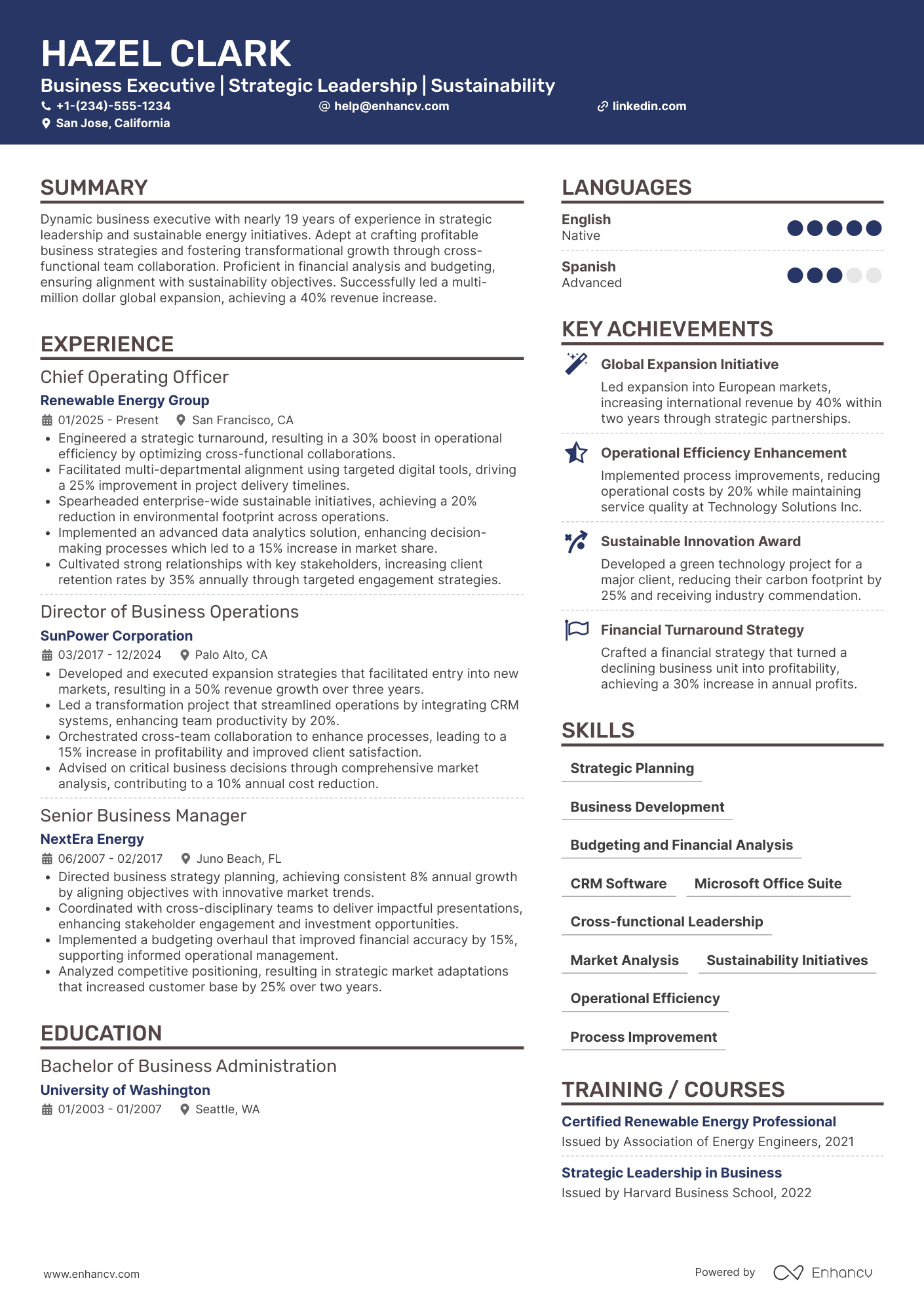A resume example of a Business Director