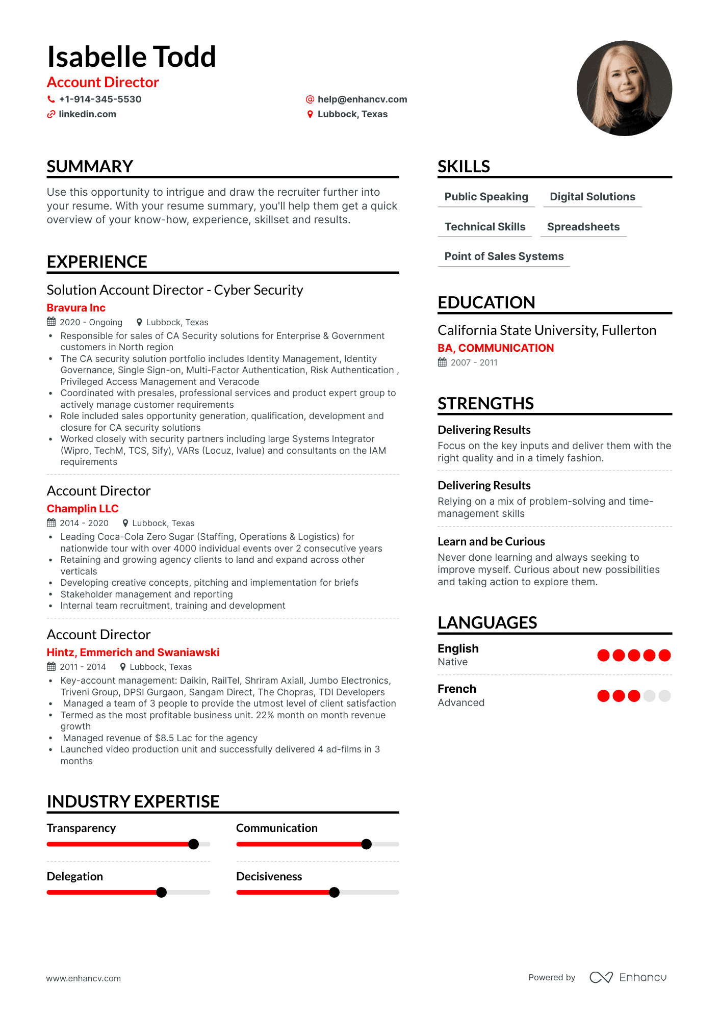 Account Director Resume Examples & Guide for 2023 (Layout, Skills ...