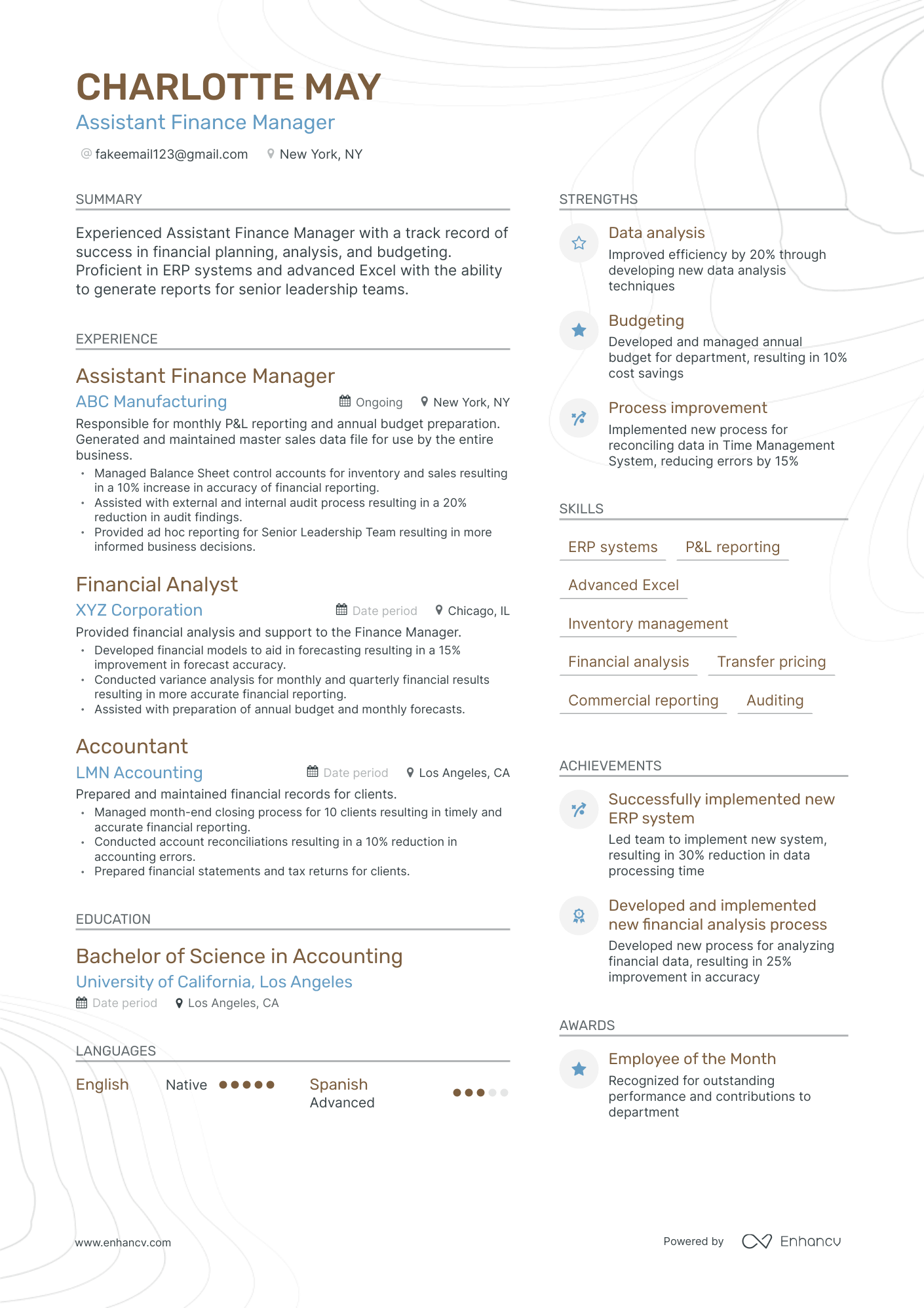 Modern Assistant Finance Manager Resume Template