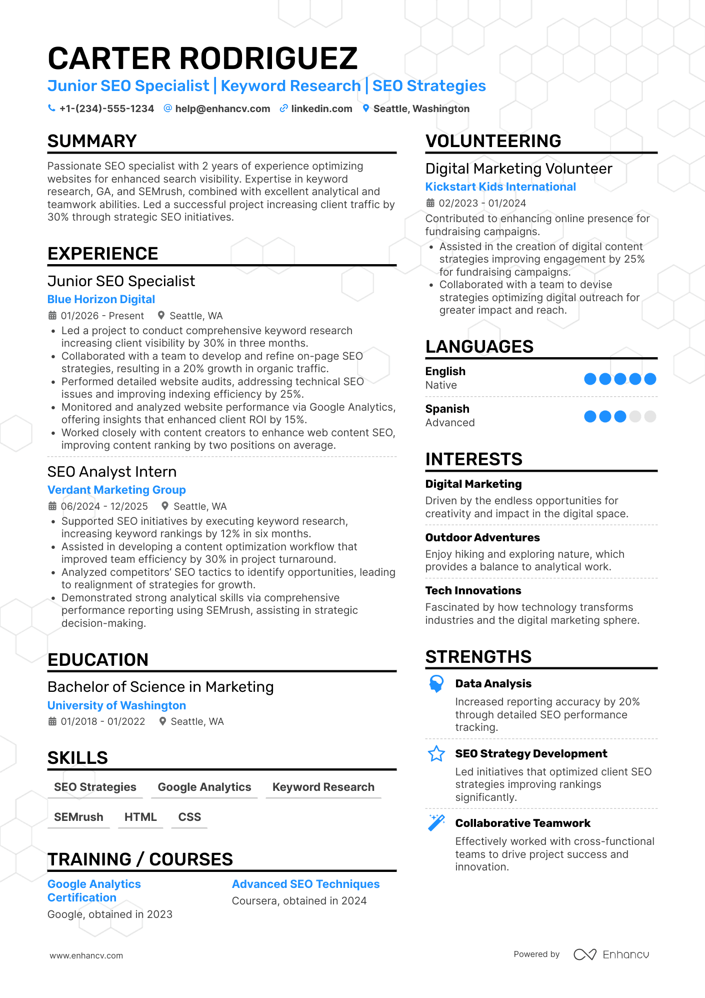 A resume example of a Junior SEO Specialist
