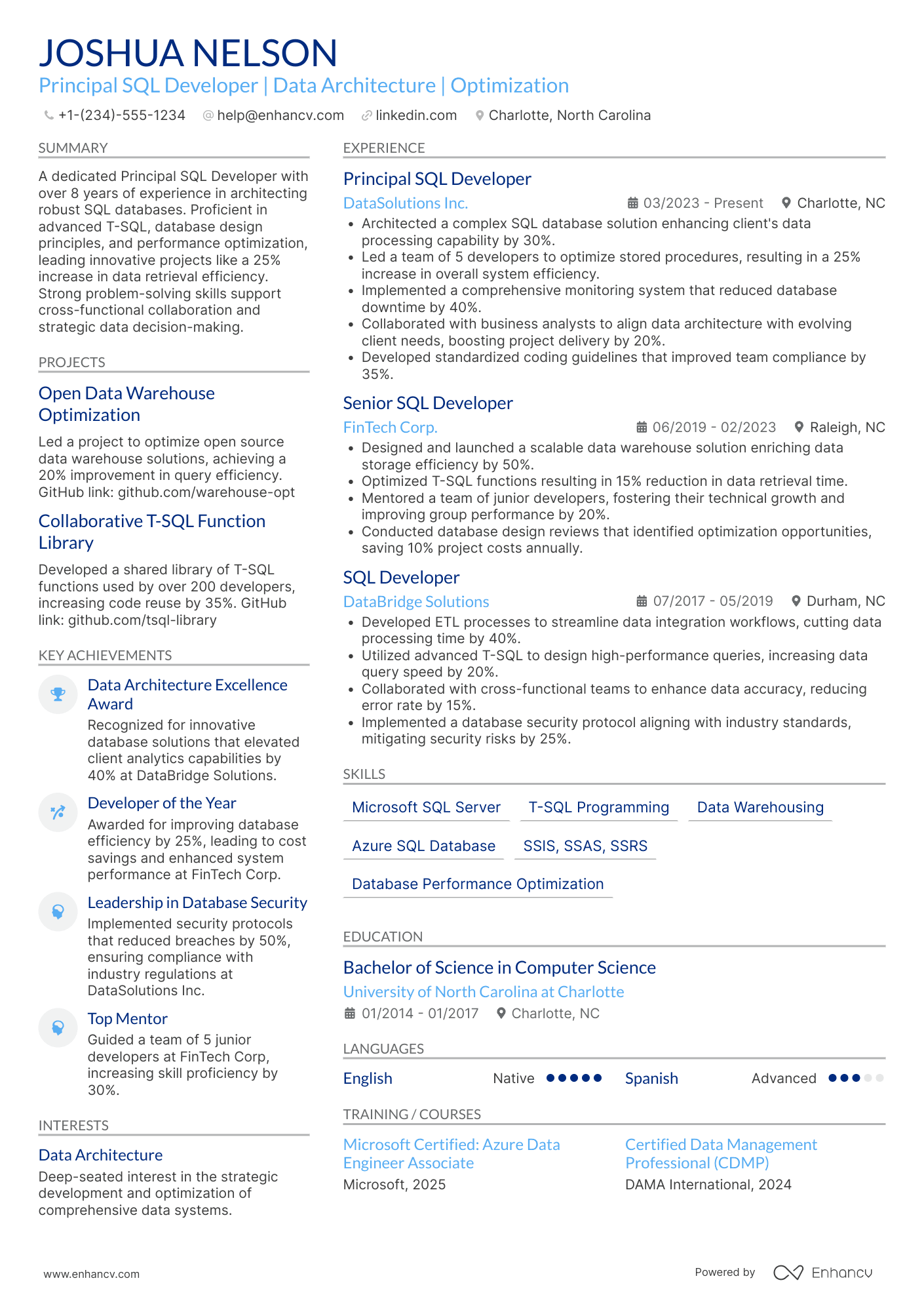 A resume example of a Principal SQL Developer