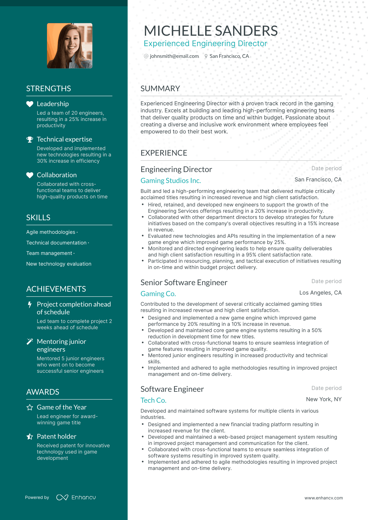 Polished Director Of Engineering Resume Template