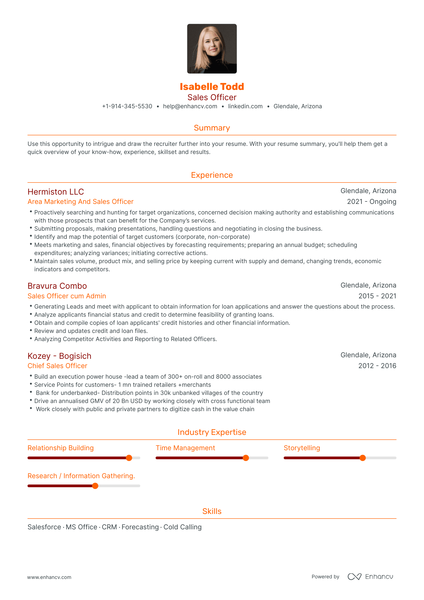 Traditional Sales Officer Resume Template