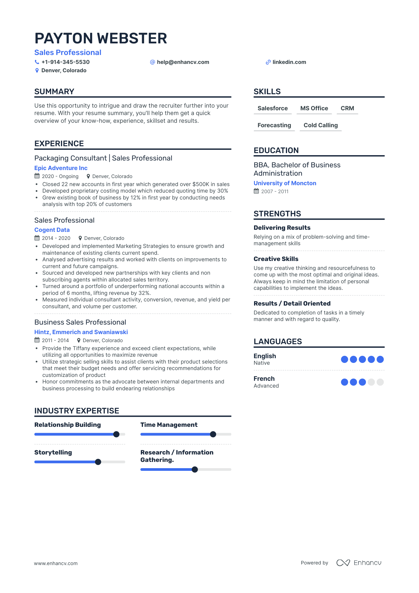 Sales Professional Resume Examples & Guide For 2023 (layout, Skills 