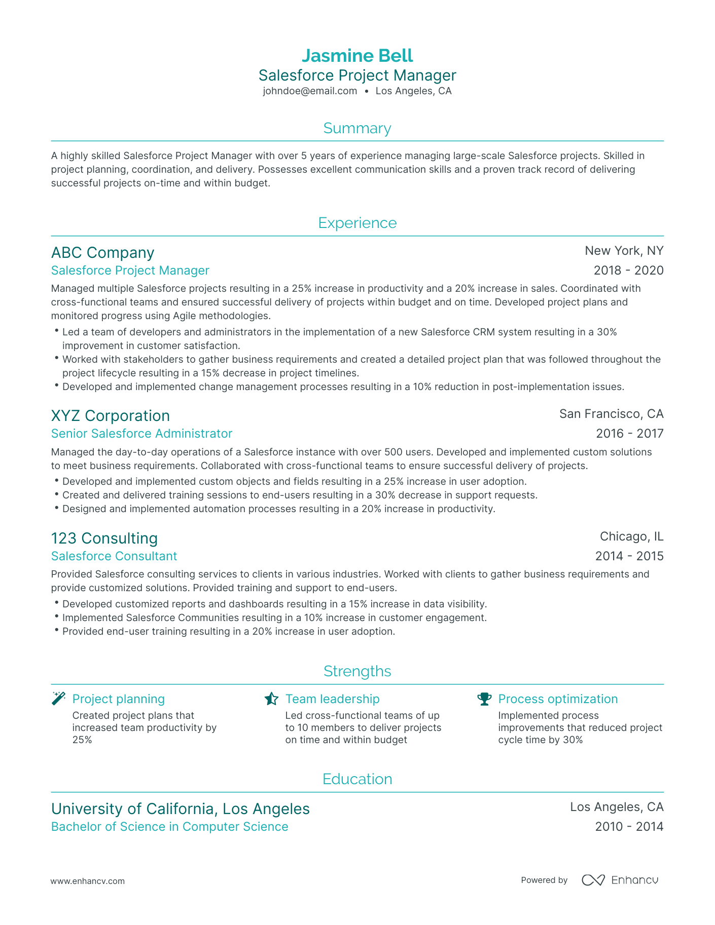 Traditional Salesforce Project Manager Resume Template