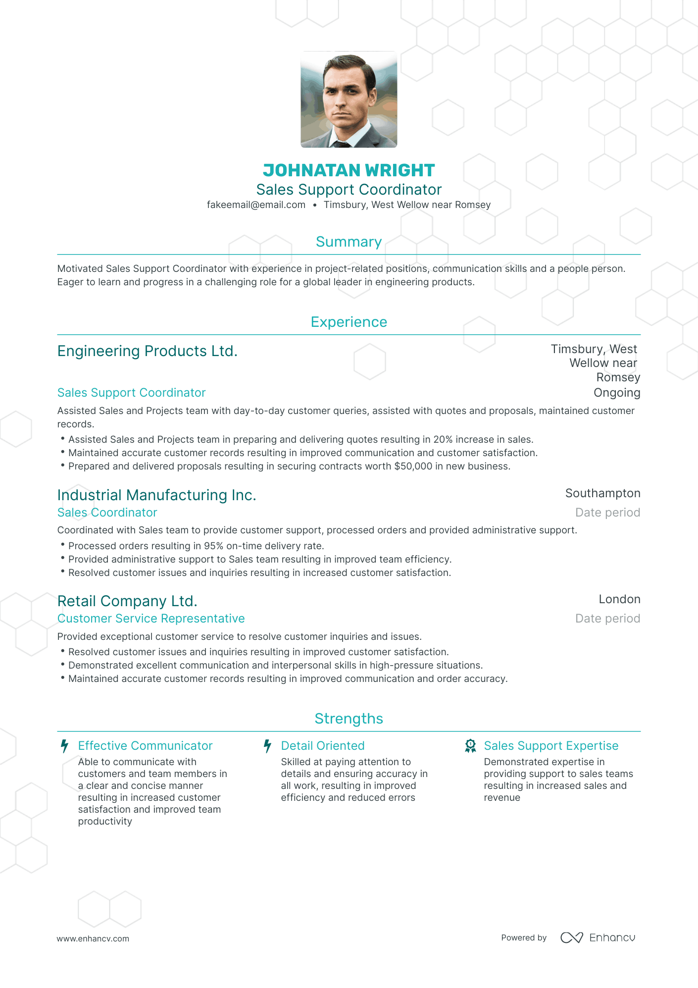 Traditional Sales Support Coordinator Resume Template