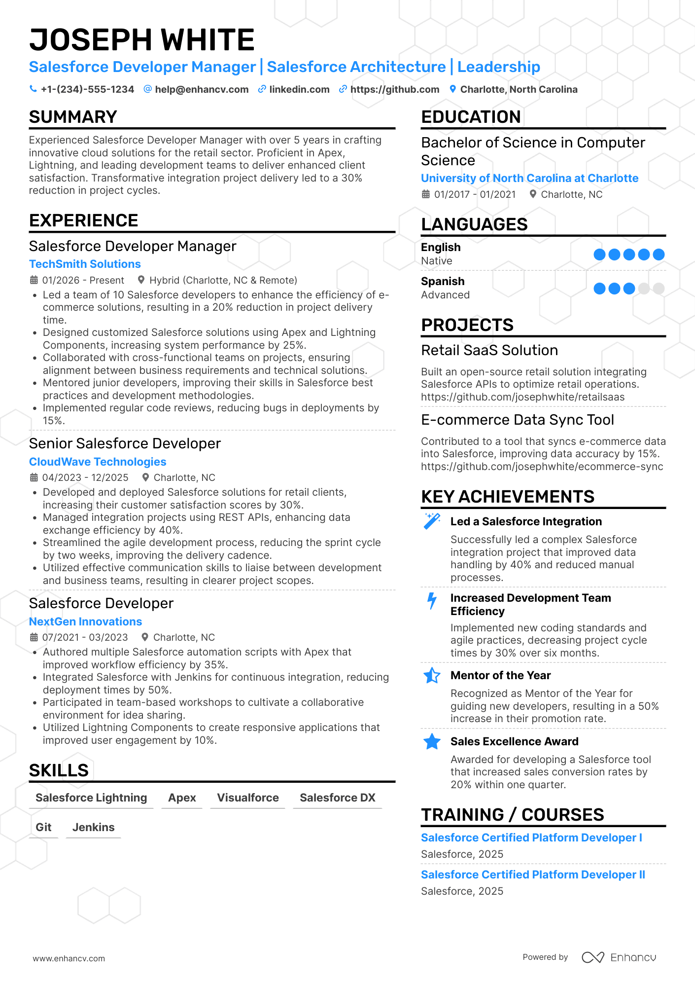 A resume example of a Salesforce Developer Manager