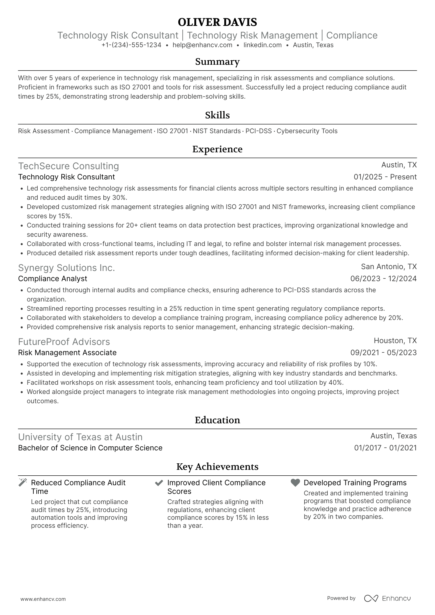 A resume example of a Technology Risk Consultant