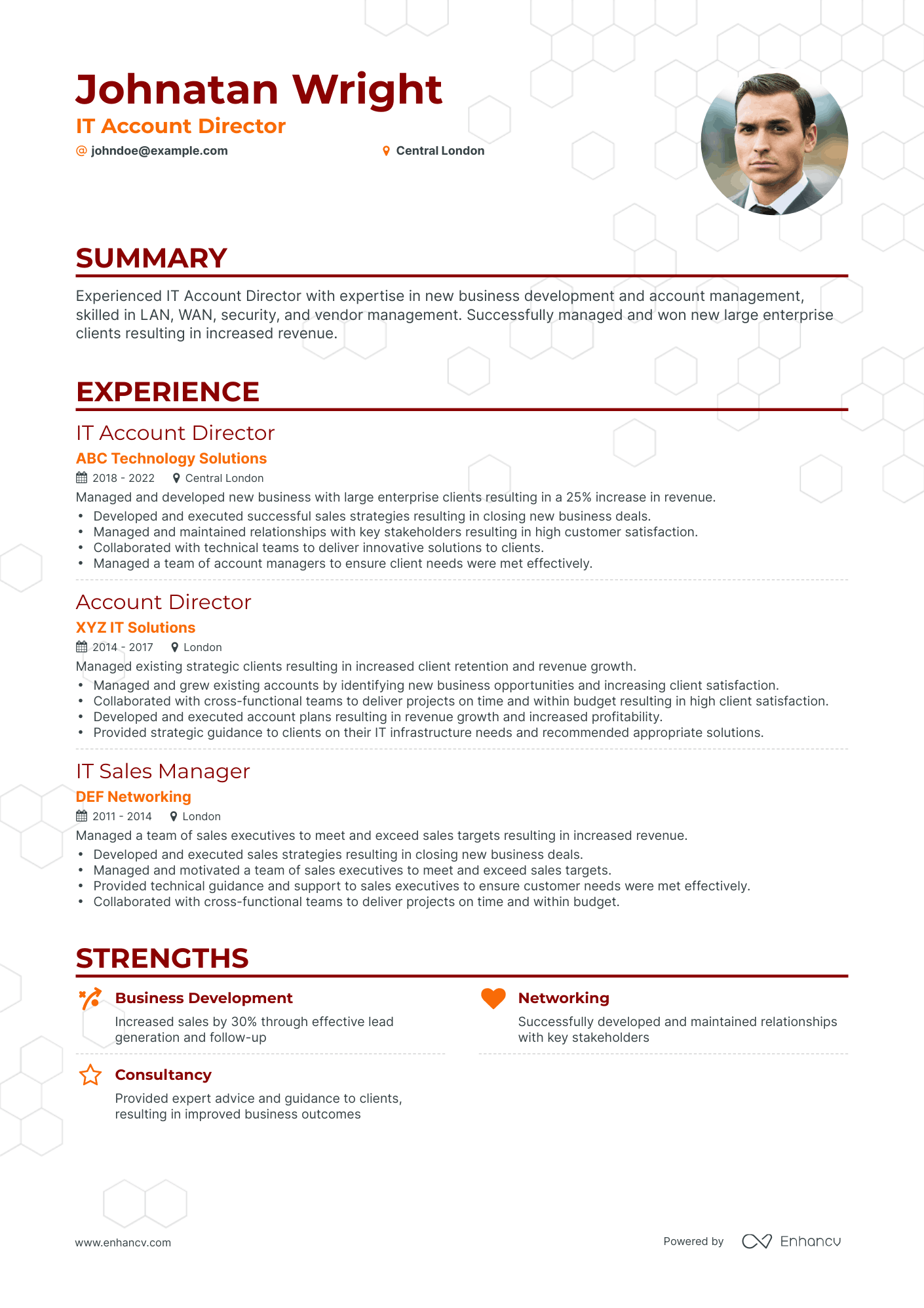 Classic Account Director Resume Template