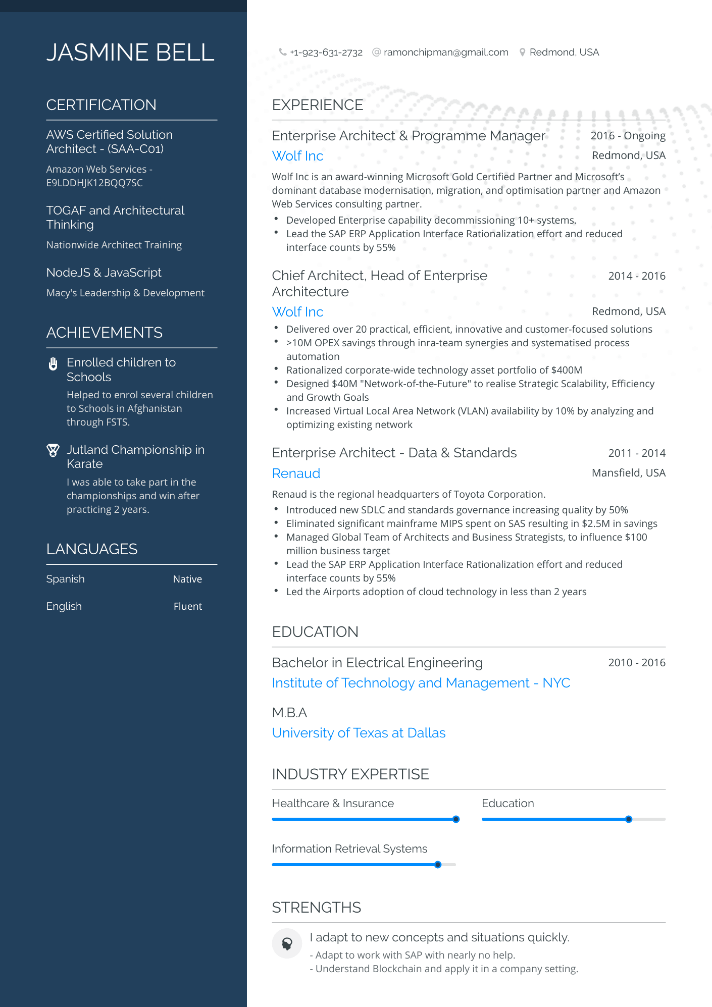 Polished Enterprise Architect Resume Template
