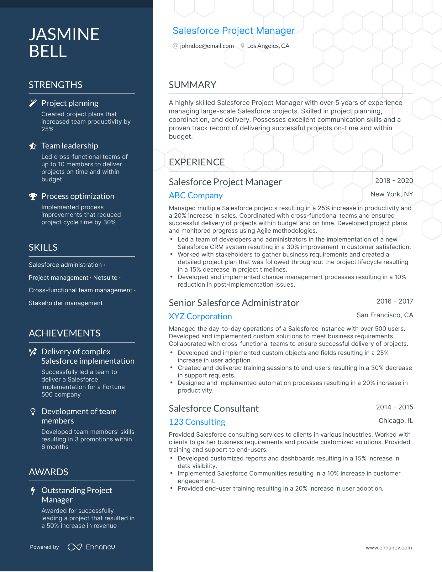 salesforce project manager resume