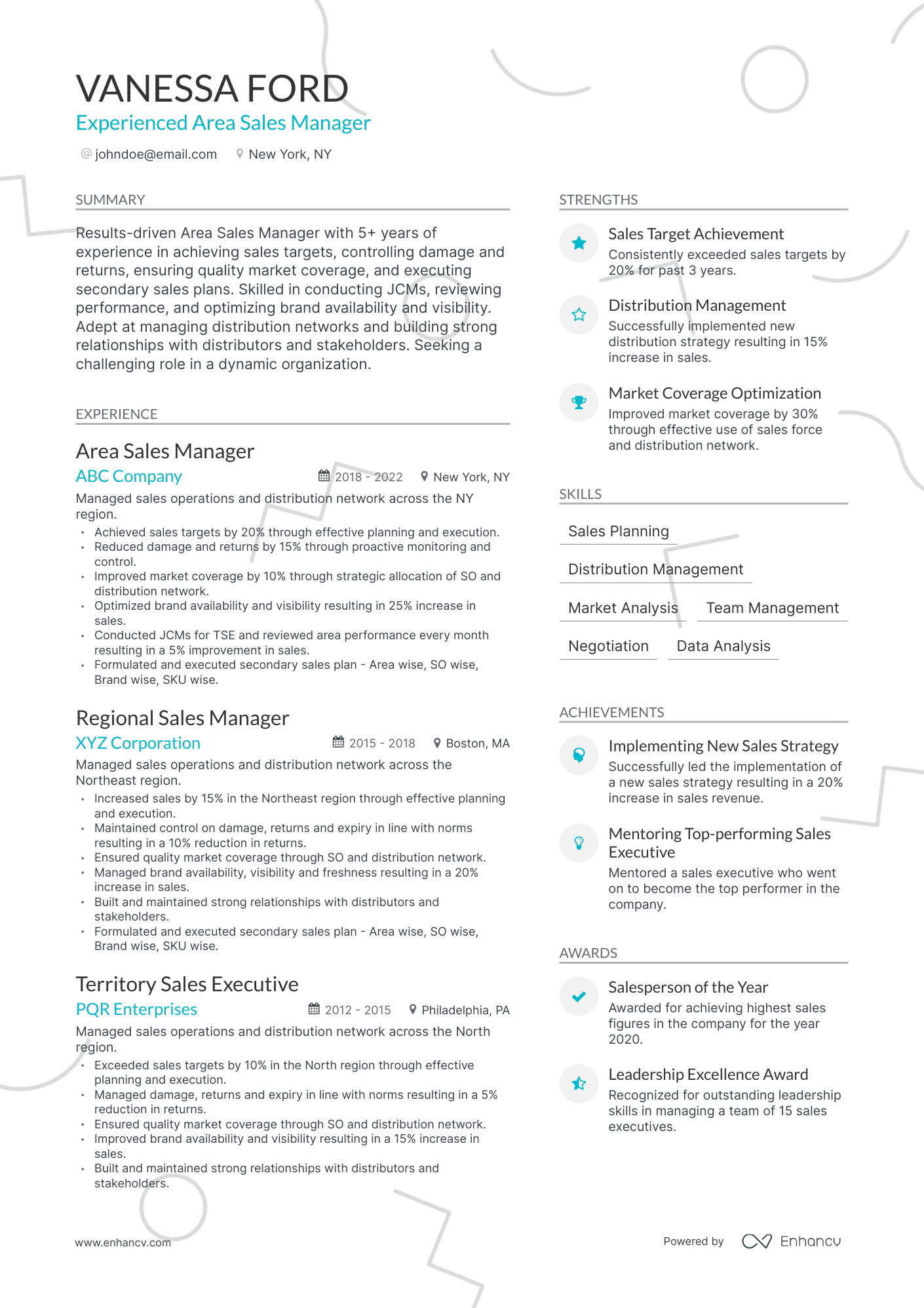 Modern Area Sales Manager Resume Template