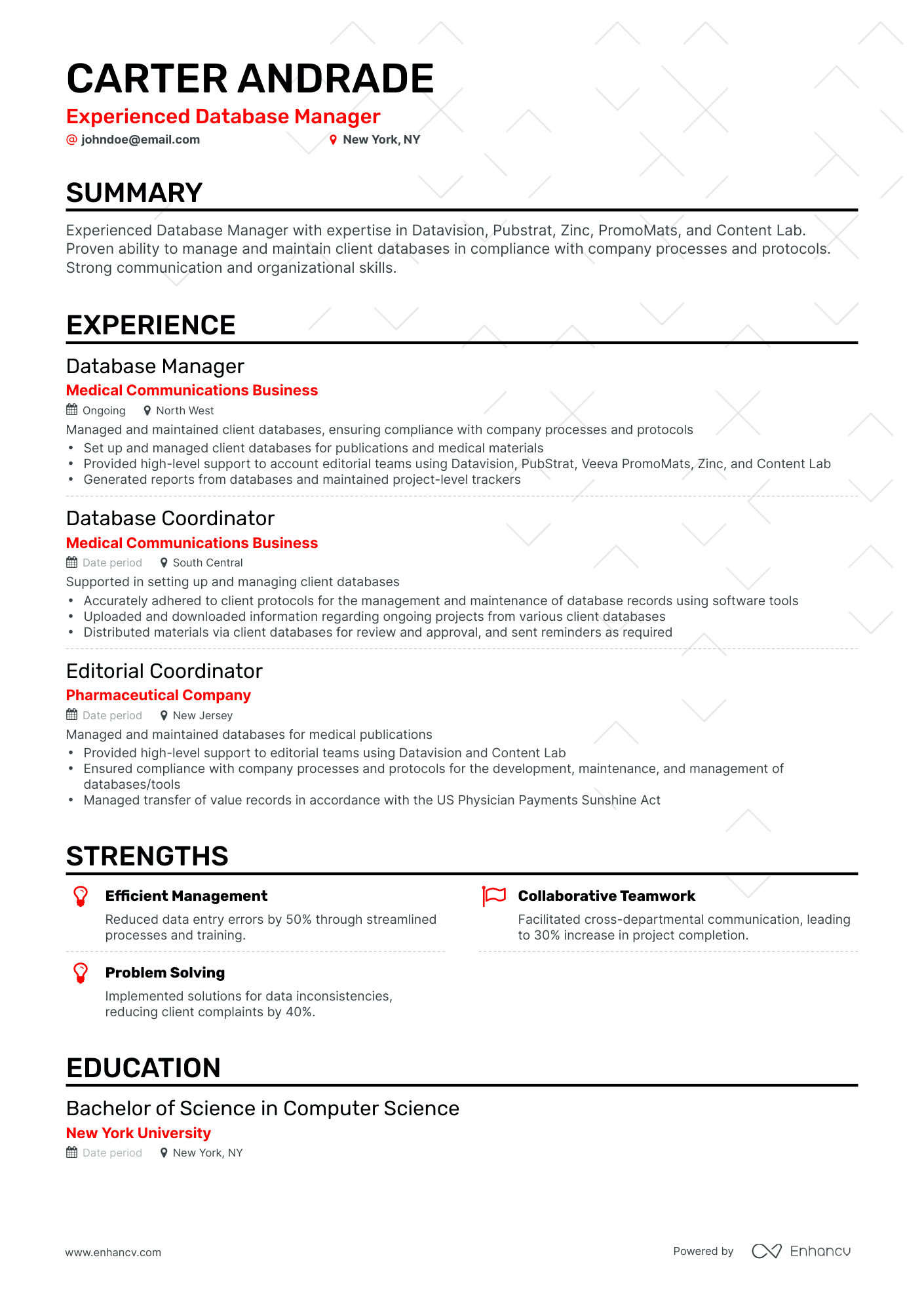 Classic Database Manager Resume Template