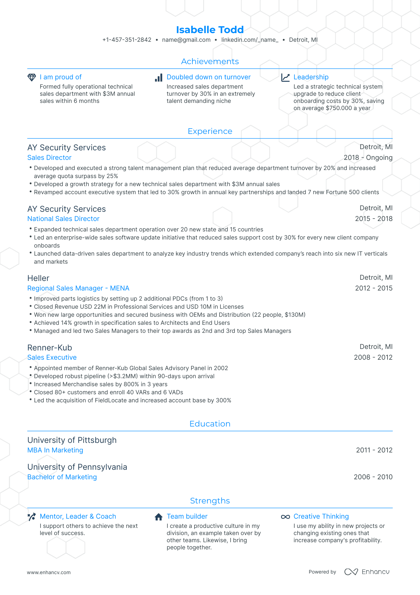 Traditional Sales Director Resume Template