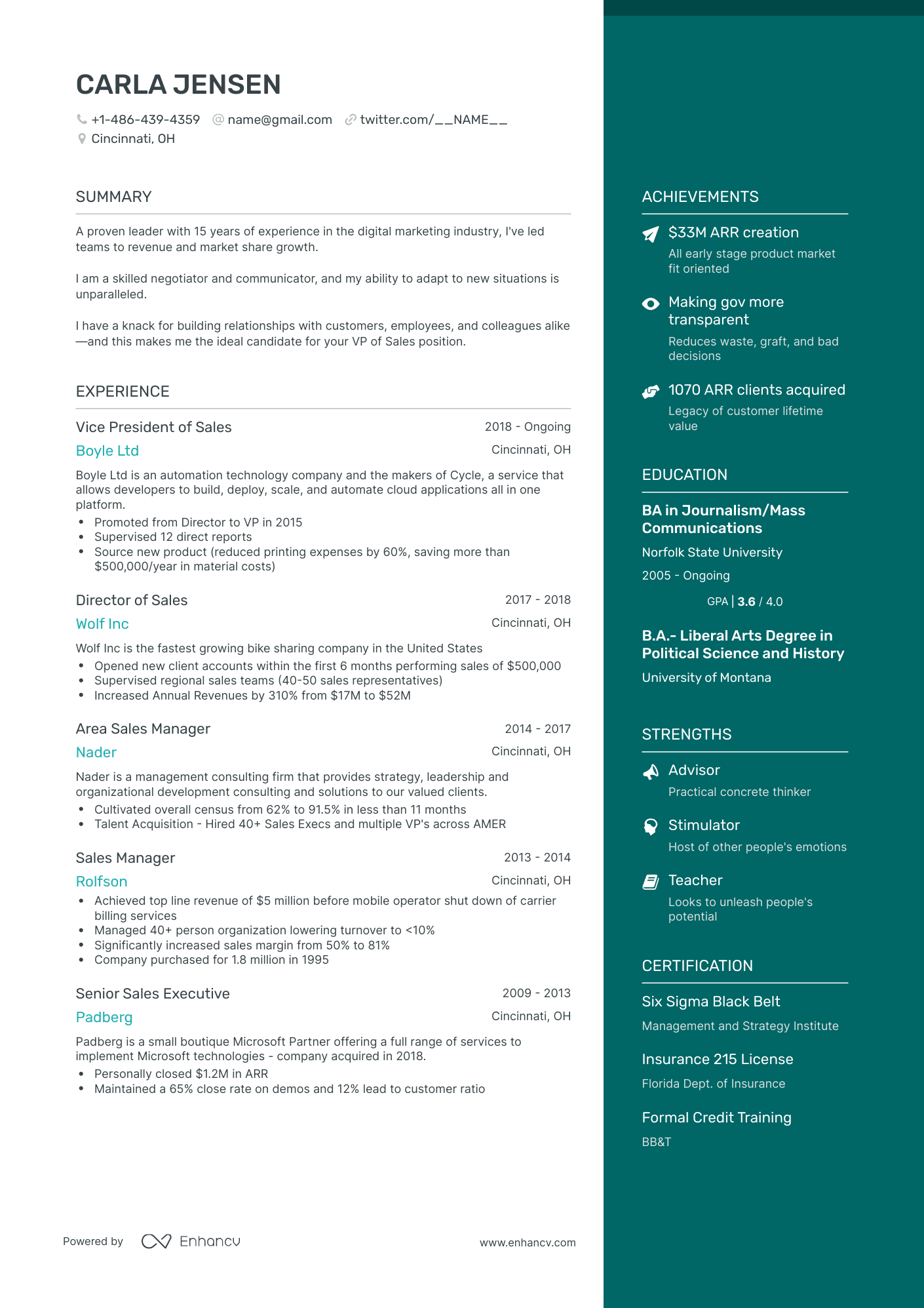 One Page VP of Sales Resume Template