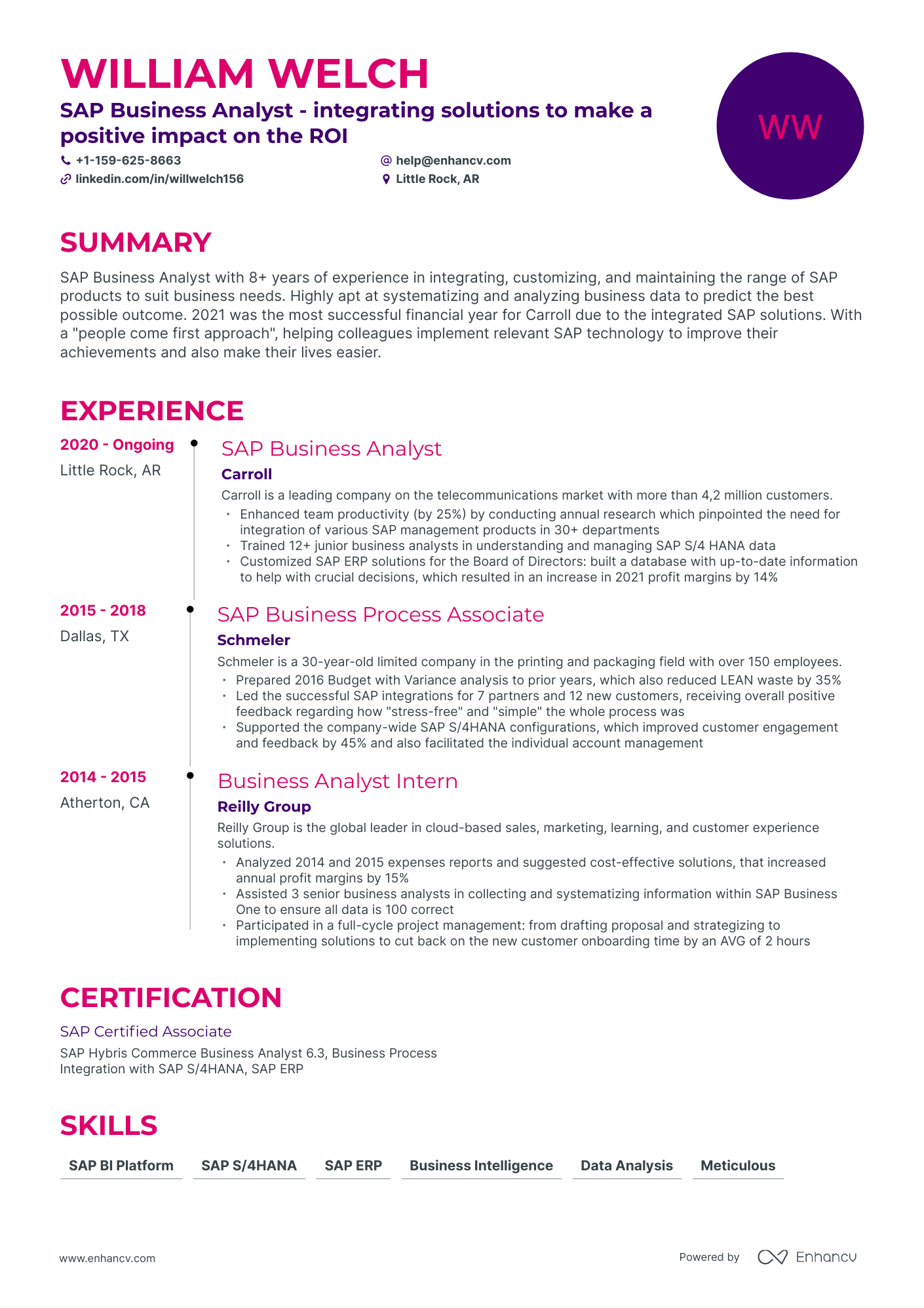 Timeline Sap Business Analyst Resume Template