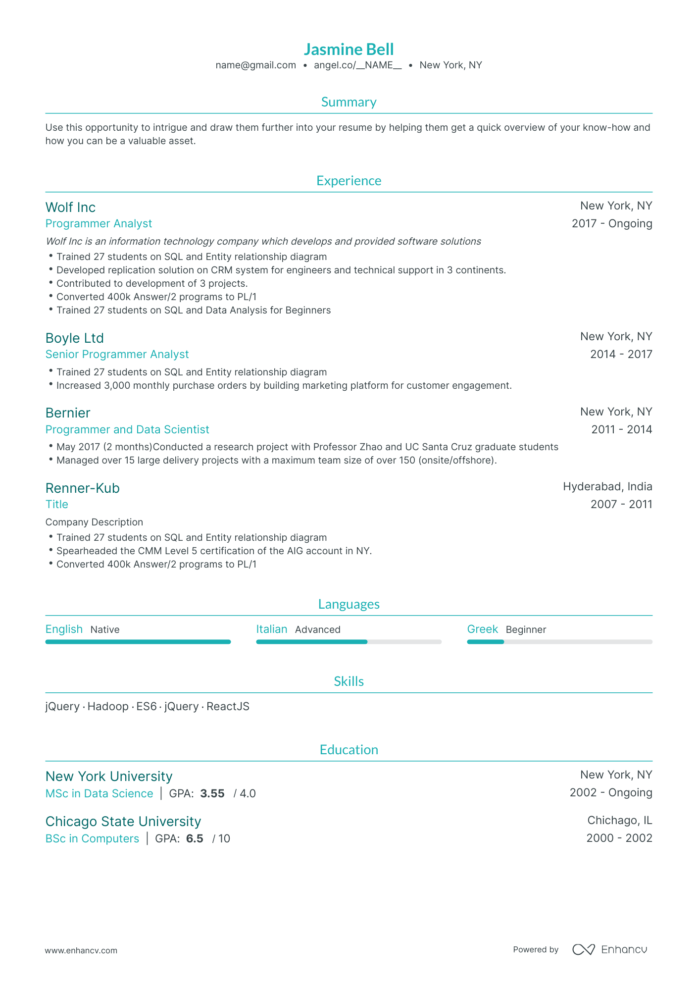 Traditional Programmer Resume Template