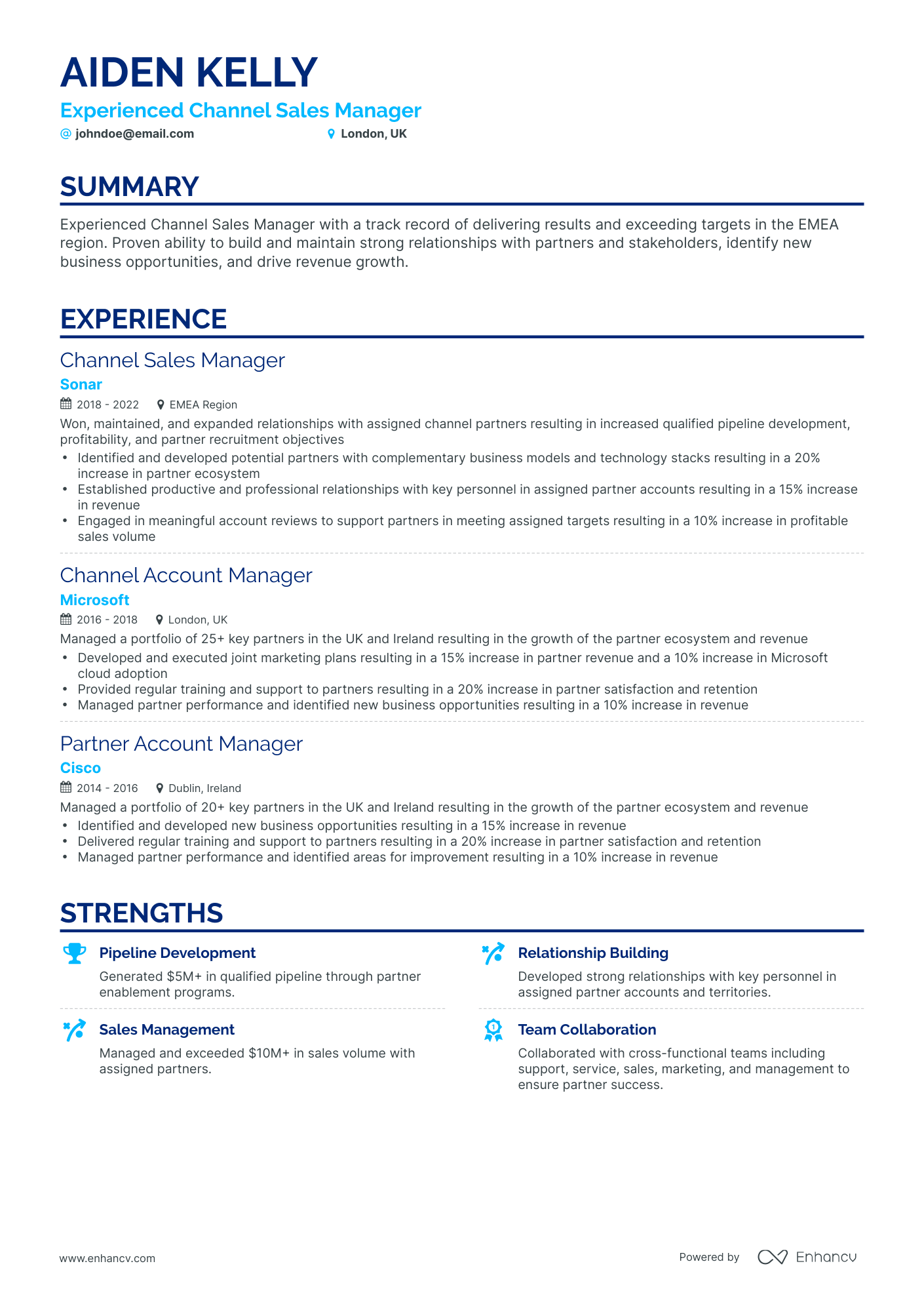 Classic Channel Sales Manager Resume Template
