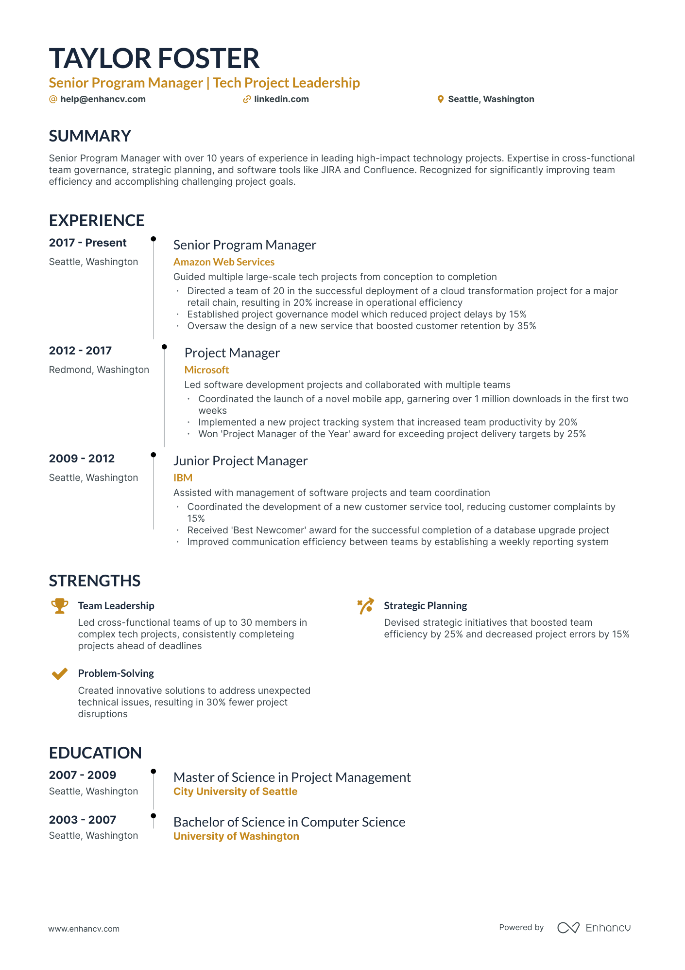 resume summary examples program manager