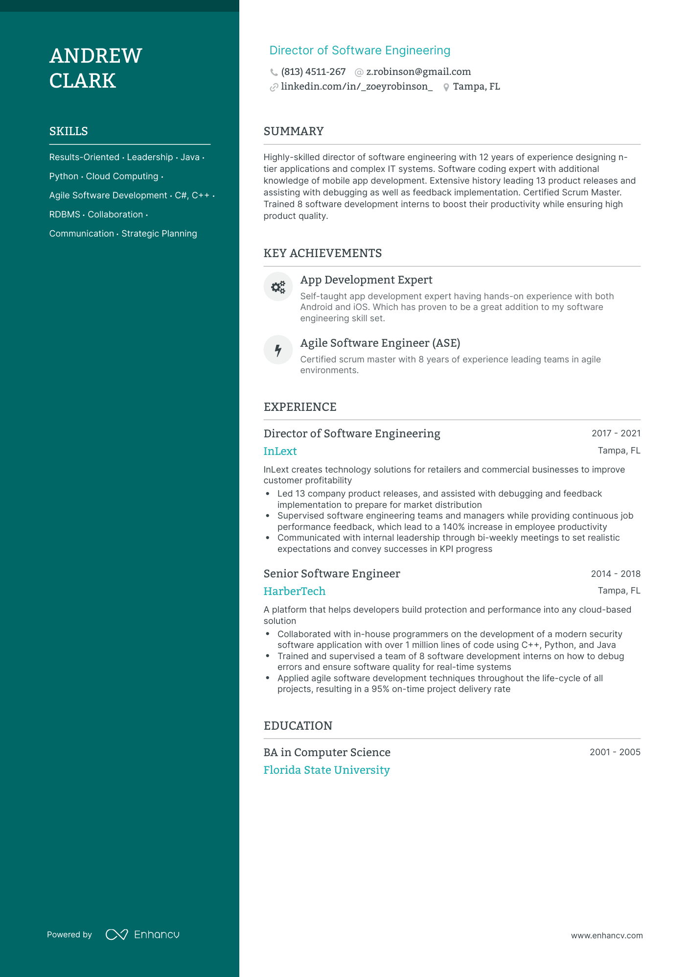 Polished Director Of Software Engineering Resume Template