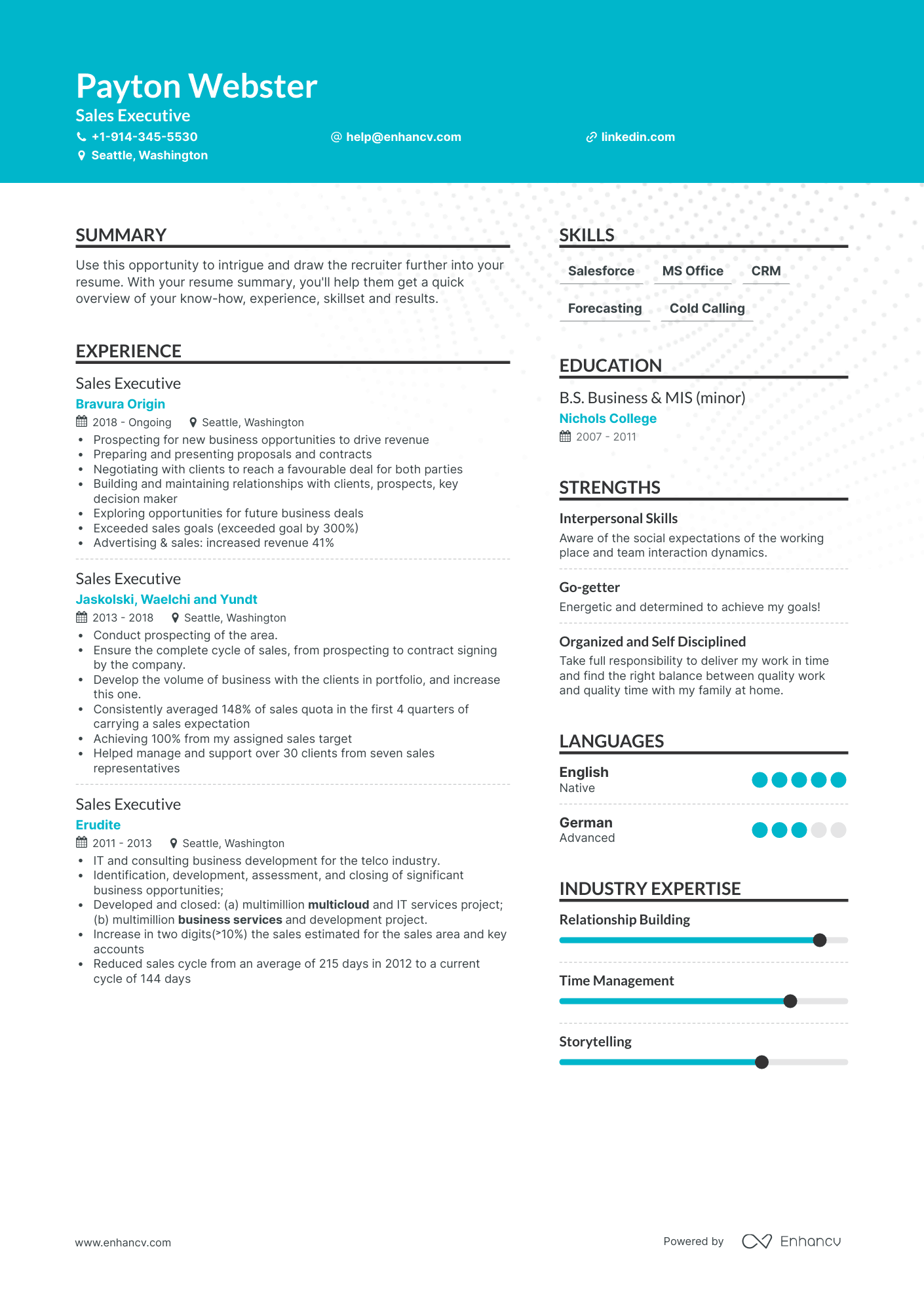 Sales Executive Resume Examples & Guide for 2023 (Layout, Skills ...