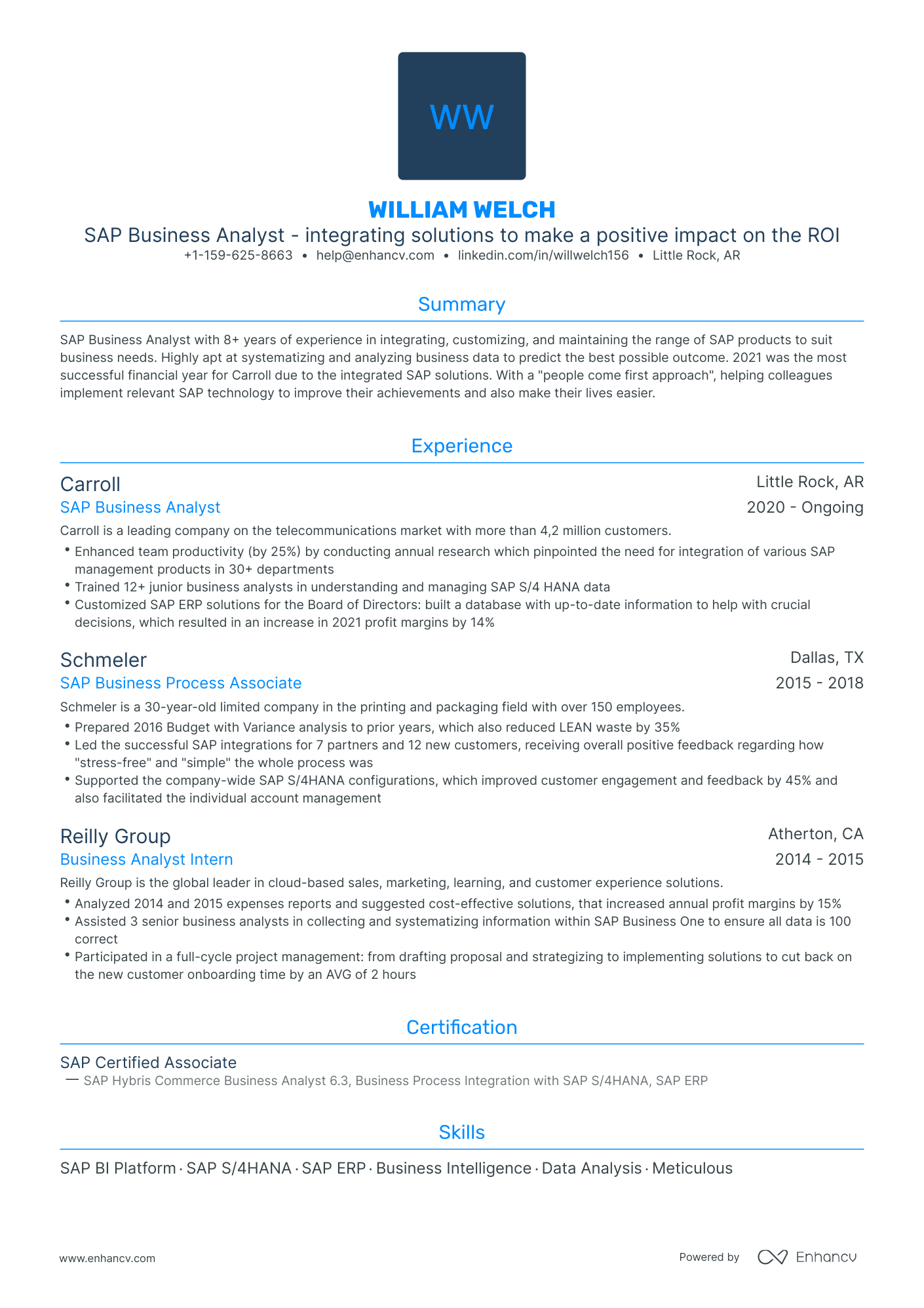 Traditional Sap Business Analyst Resume Template