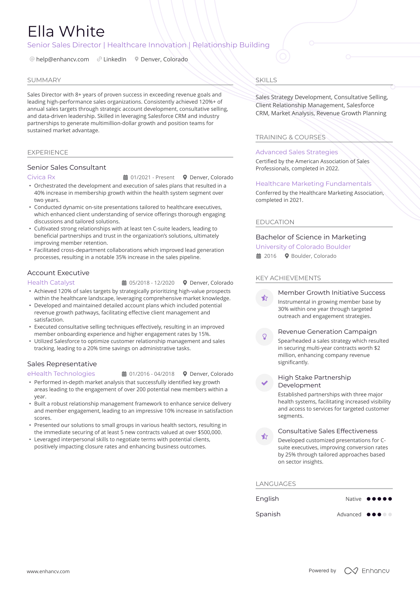 A resume example of a Director of Sales