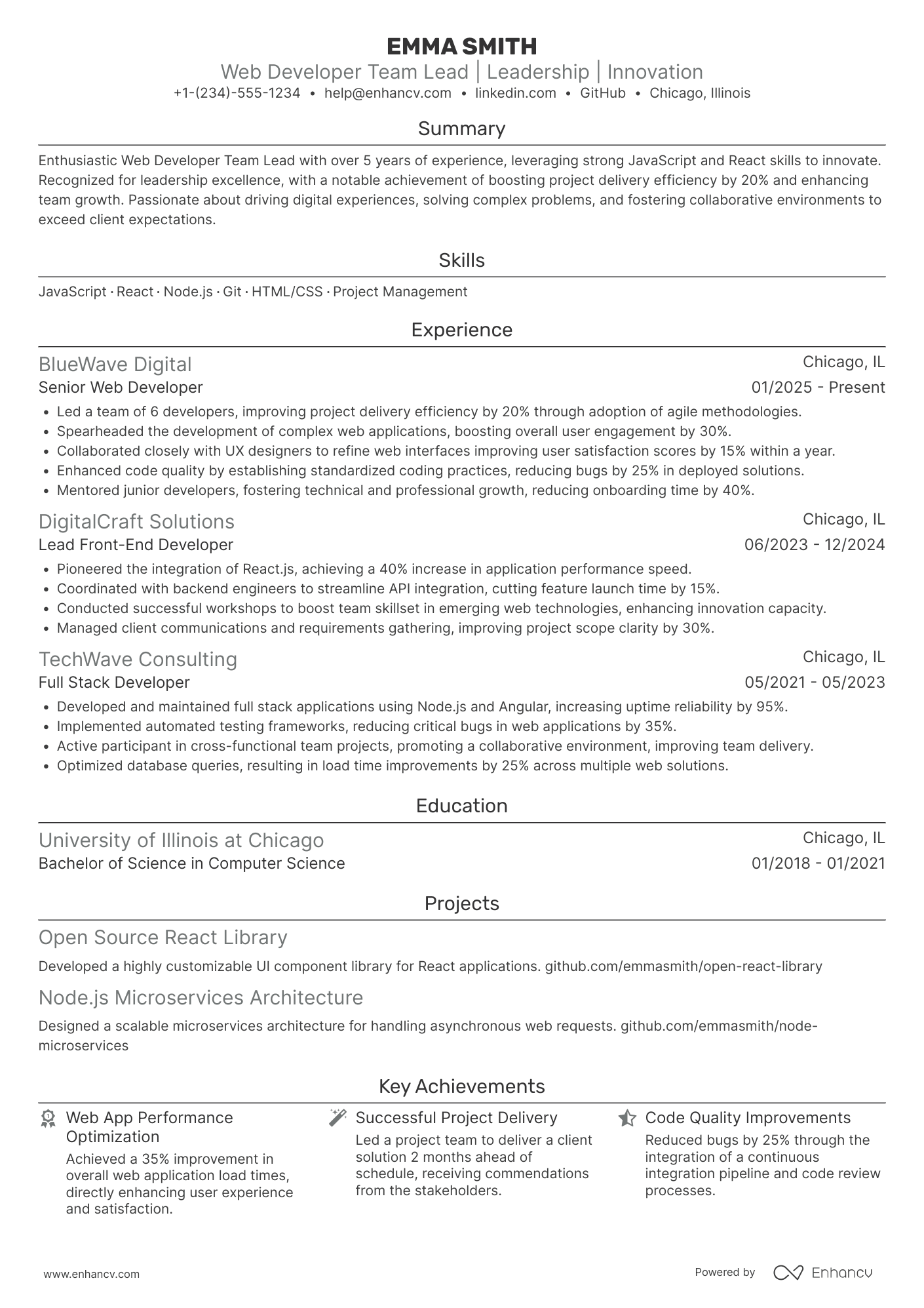 A resume example of a Web Developer Team Lead