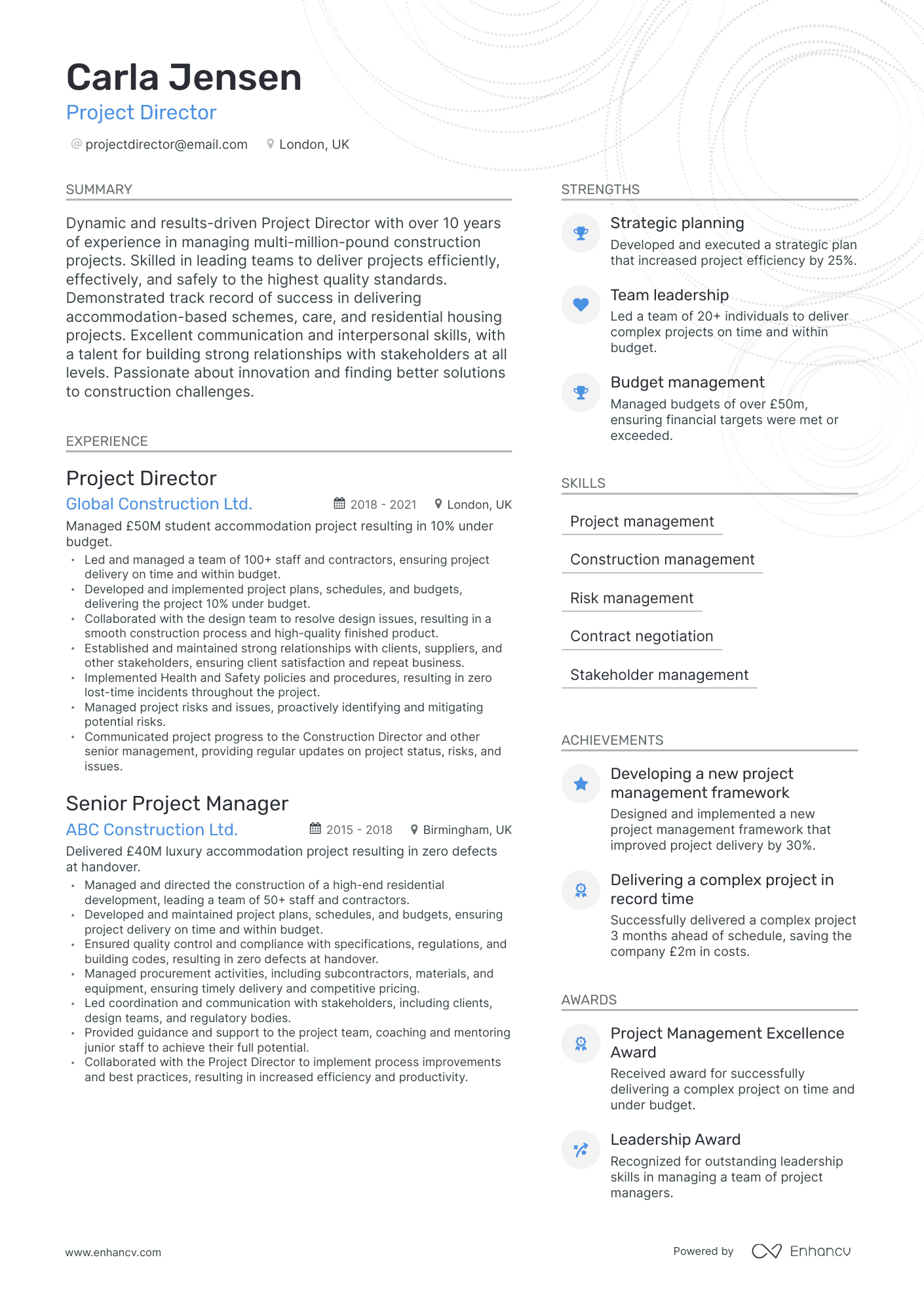 Modern Project Director Resume Template