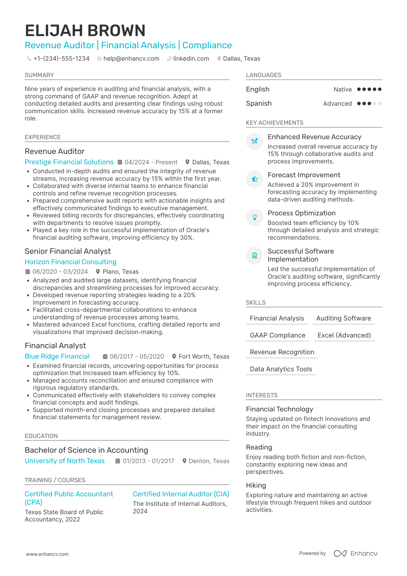 A resume example of a Revenue Auditor