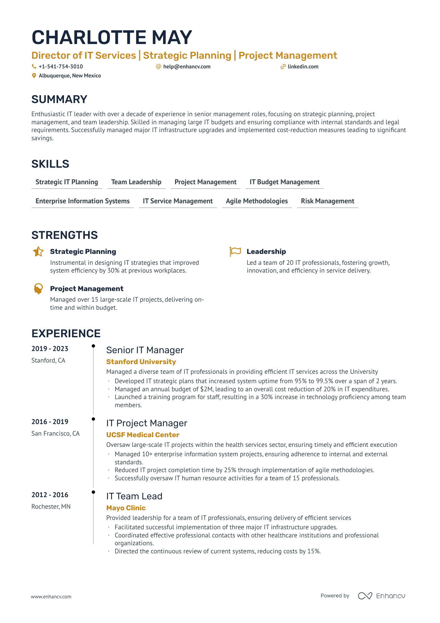 it leader resume examples