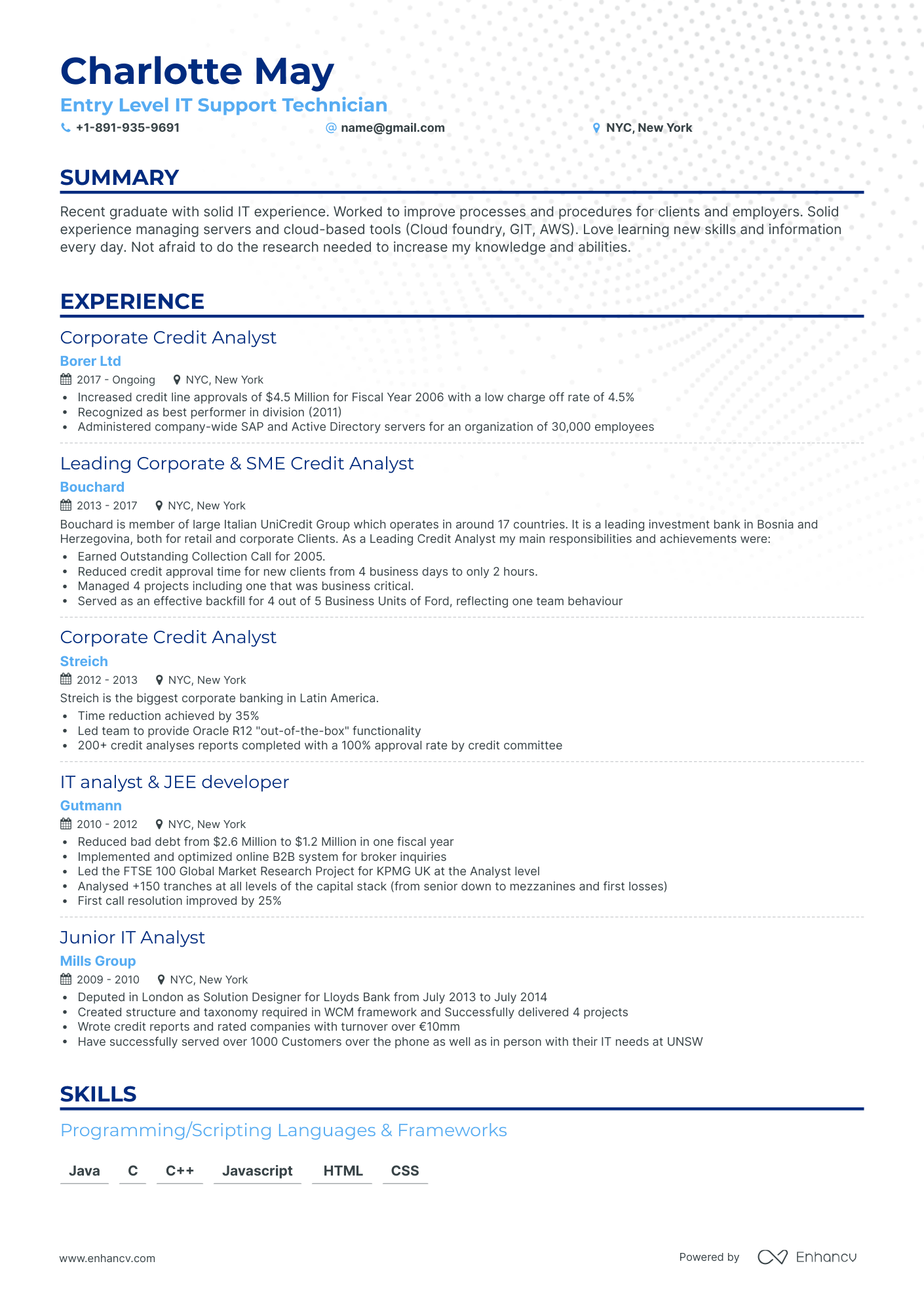 Classic Entry Level It Resume Template