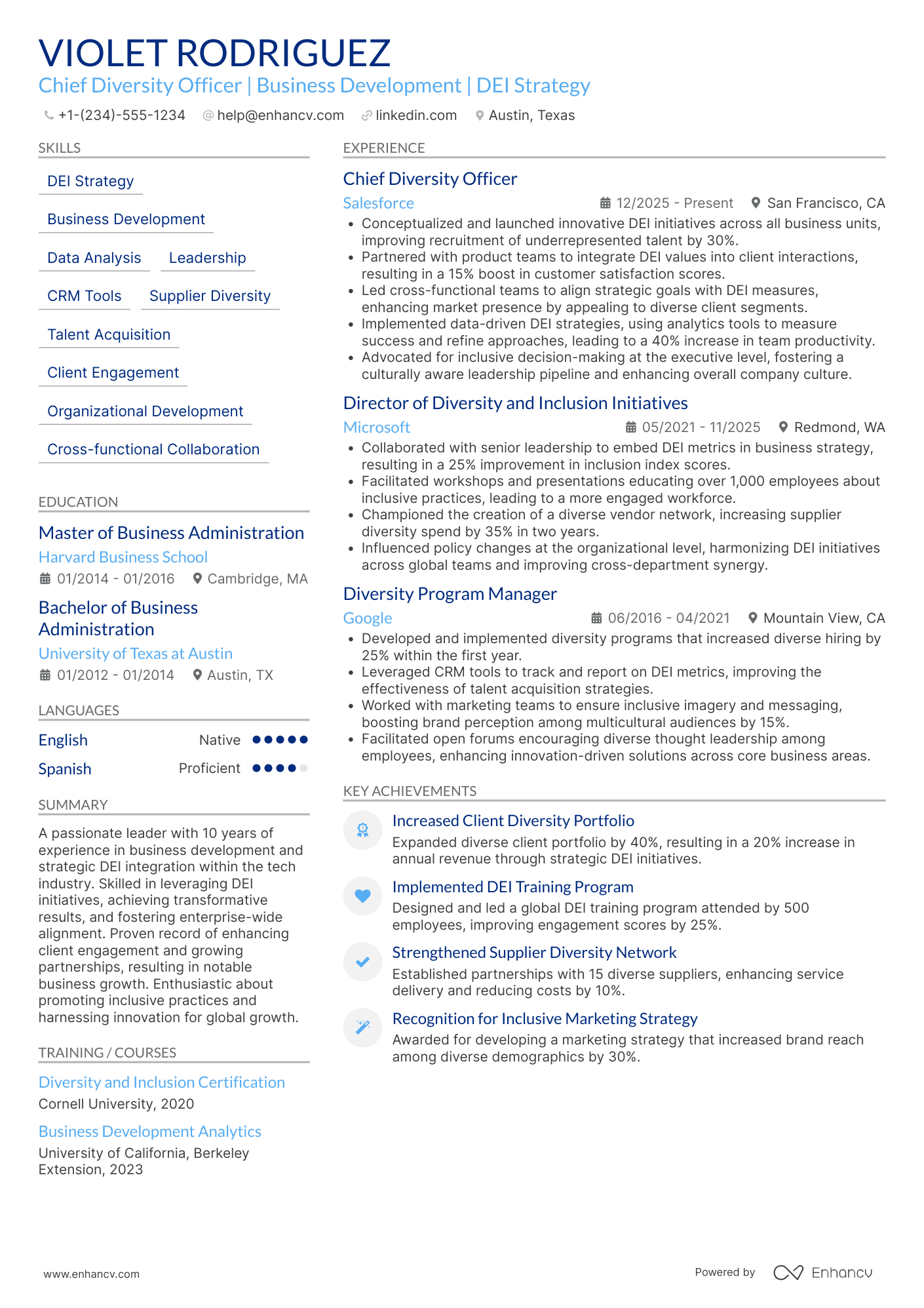 A resume example of a Chief Diversity Officer for Business Development