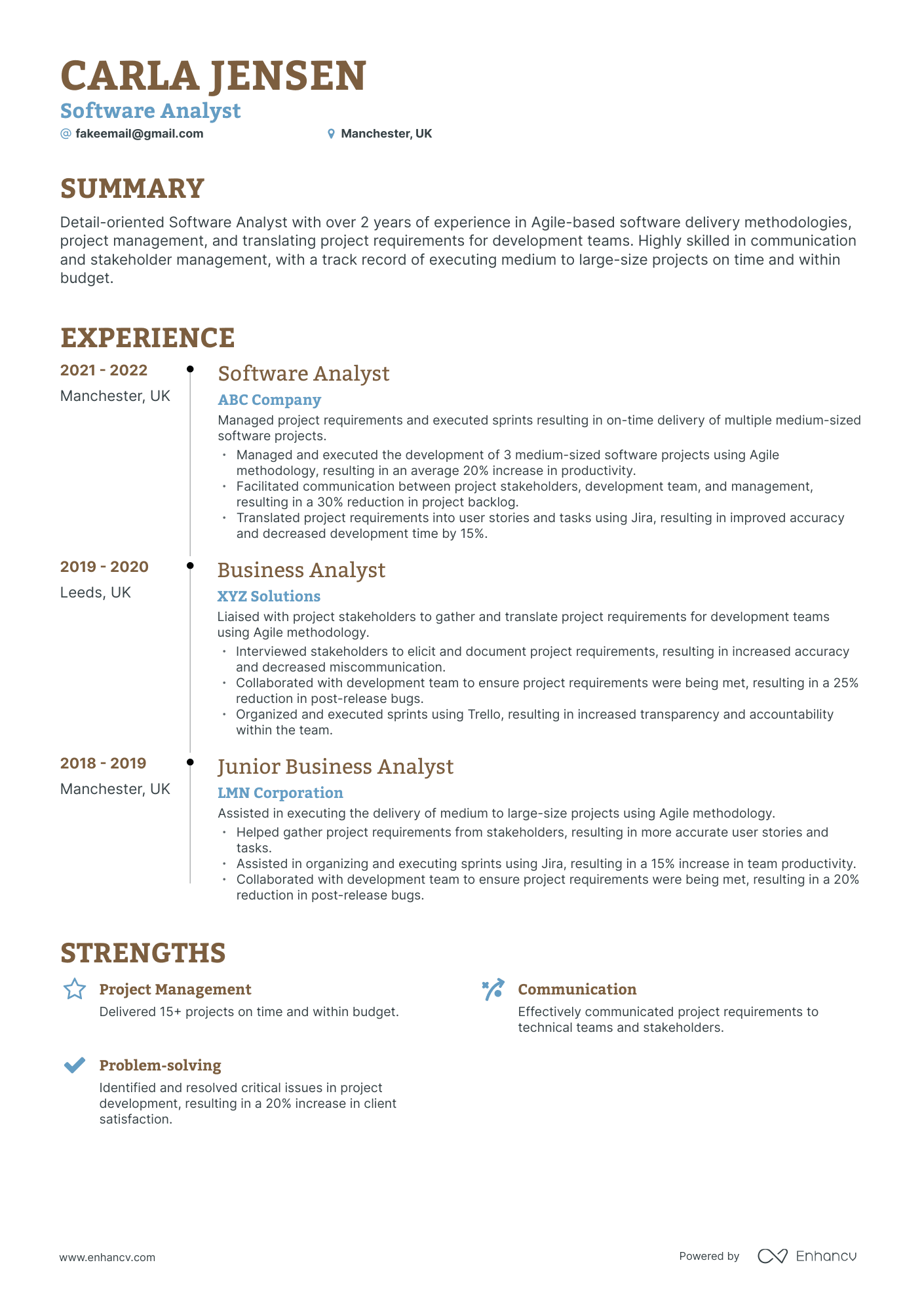 Timeline Software Analyst Resume Template
