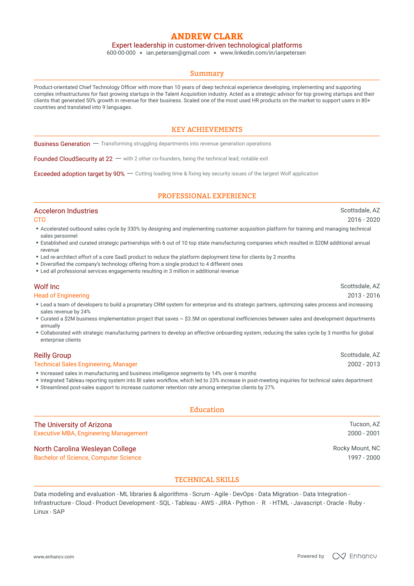 Traditional Executive Resume Template