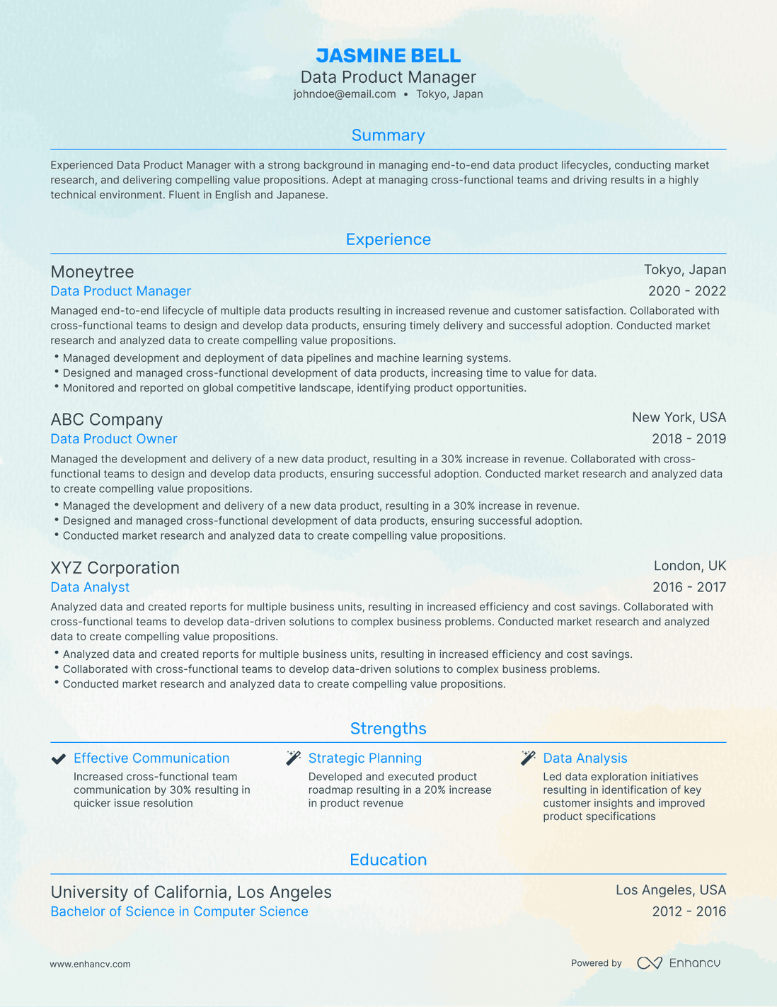Traditional Data Product Manager Resume Template