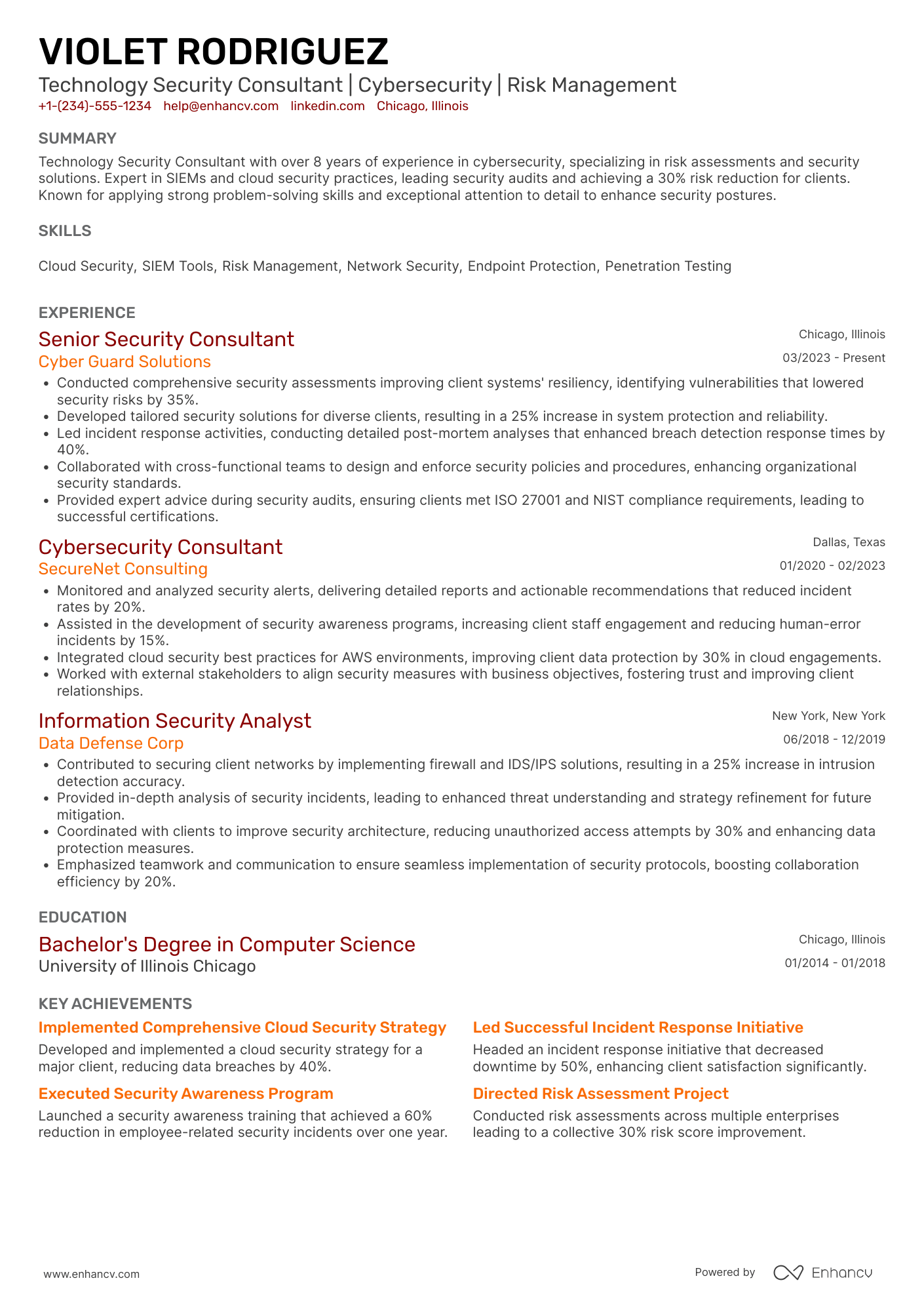 A resume example of a Technology Security Consultant