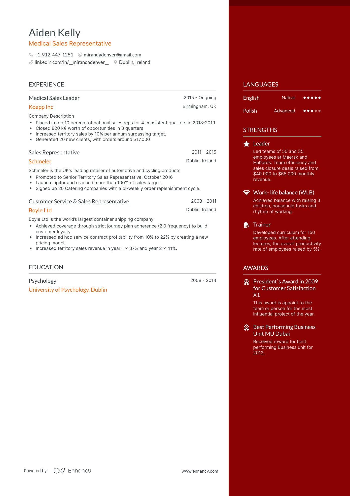 One Page Medical Sales Resume Template