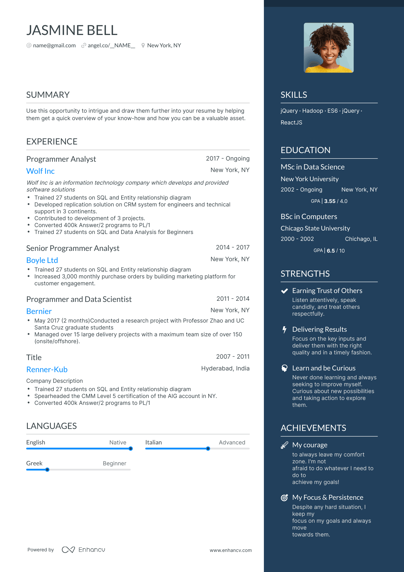 One Page Programmer Resume Template