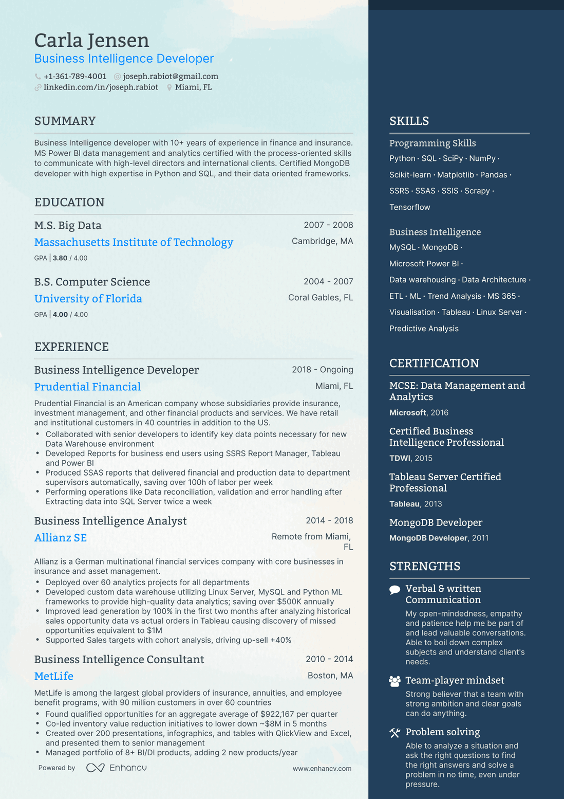 One Page Business Intelligence Resume Template
