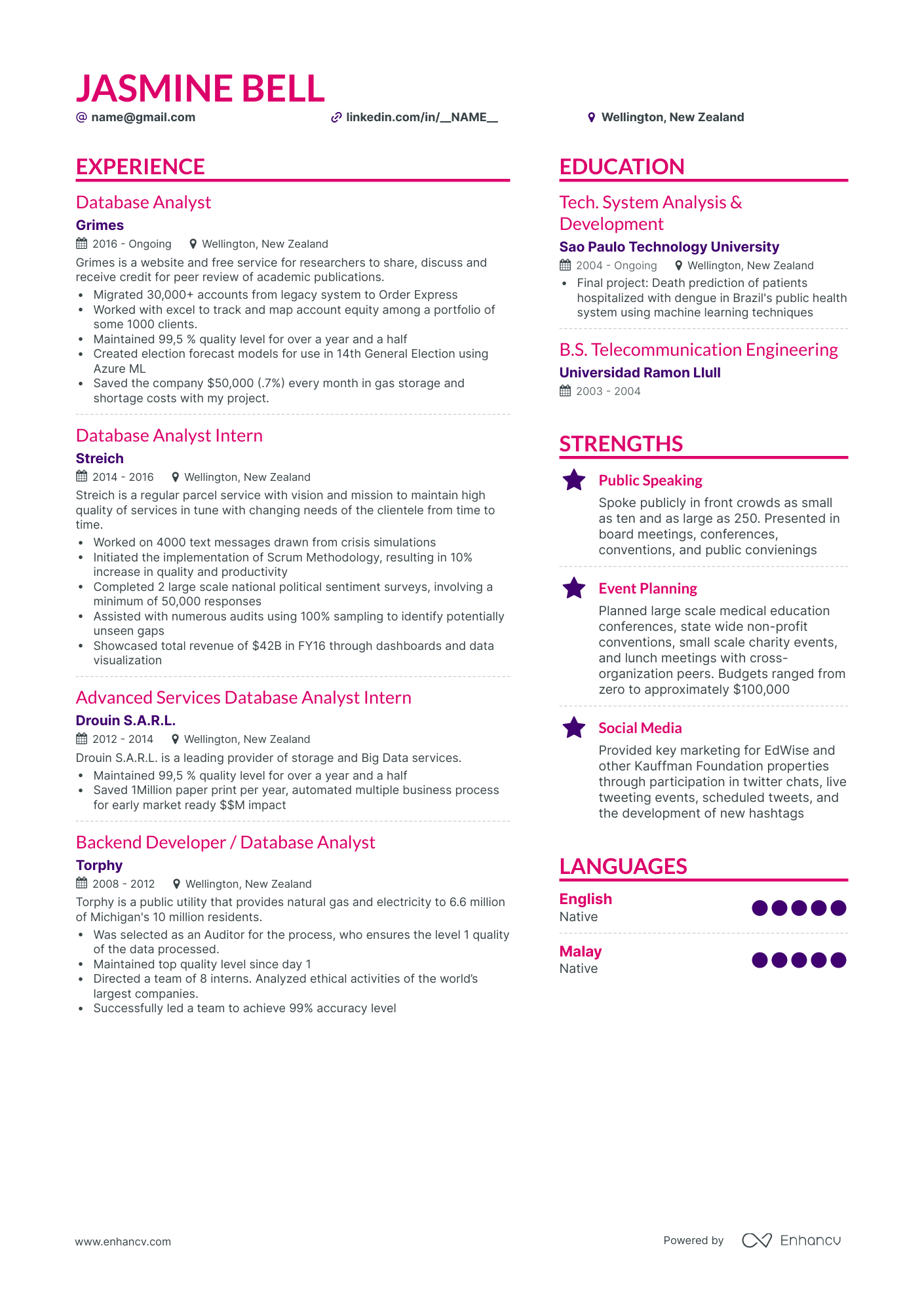 Simple Database Analyst Resume Template