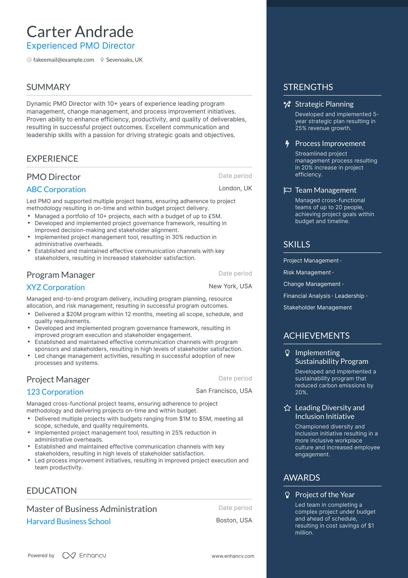 One Page PMO Director Resume Template
